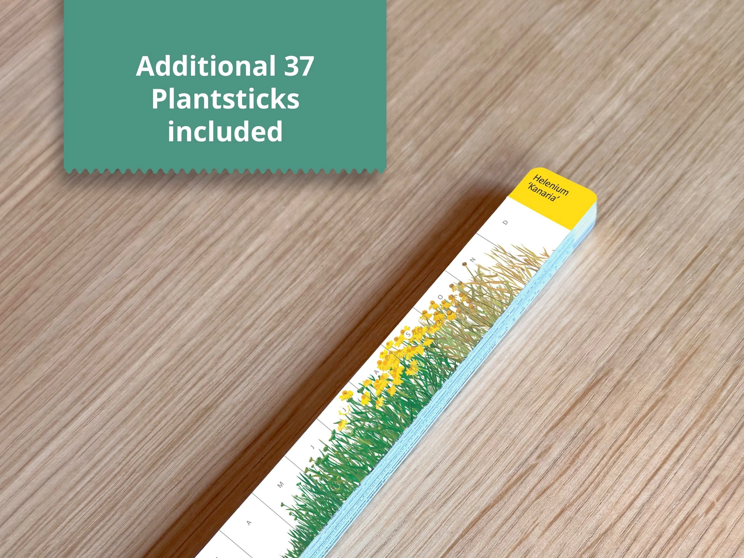 Additional+sticks.jpg