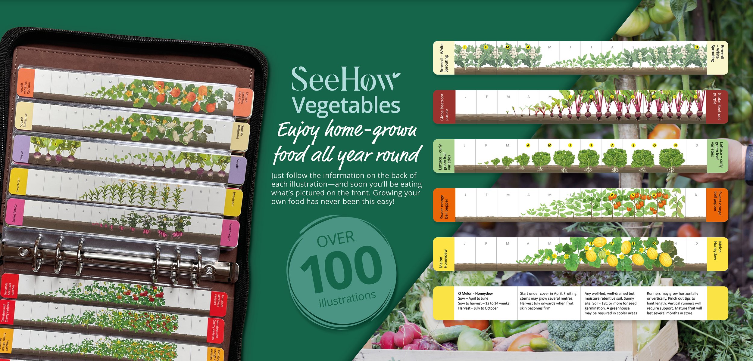 The SeeHow Vegetable growing gardening book