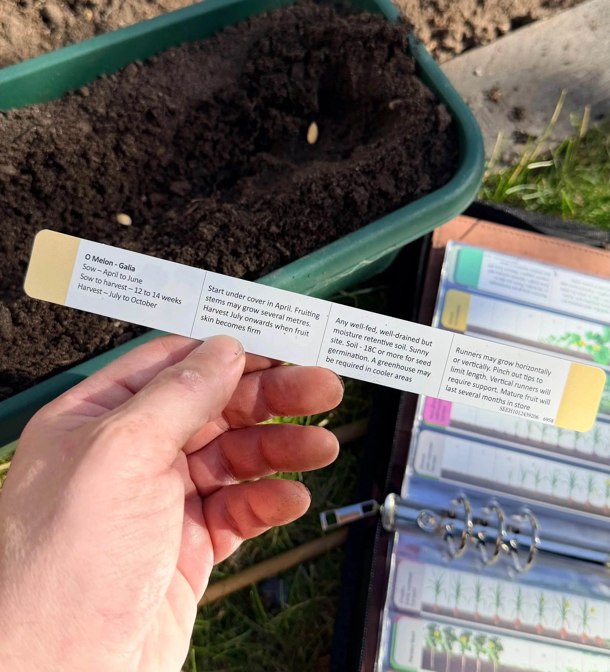 Close-up of a hand holding a plant care label in front of a planter filled with soil, with plant seedings and gardening supplies in the background.