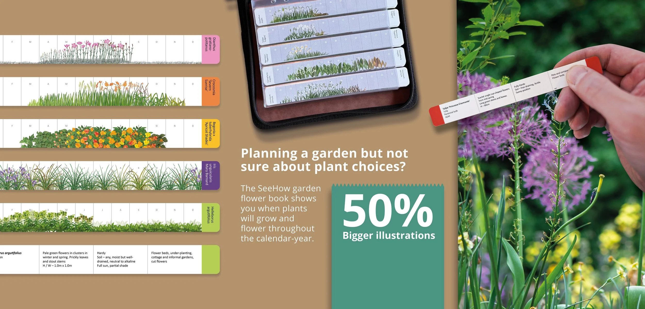 Flower growing book - 50% bigger drawings