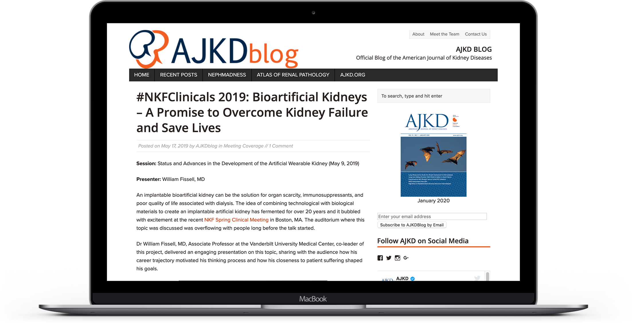 Blog_Post_Kidney_Mockup.png
