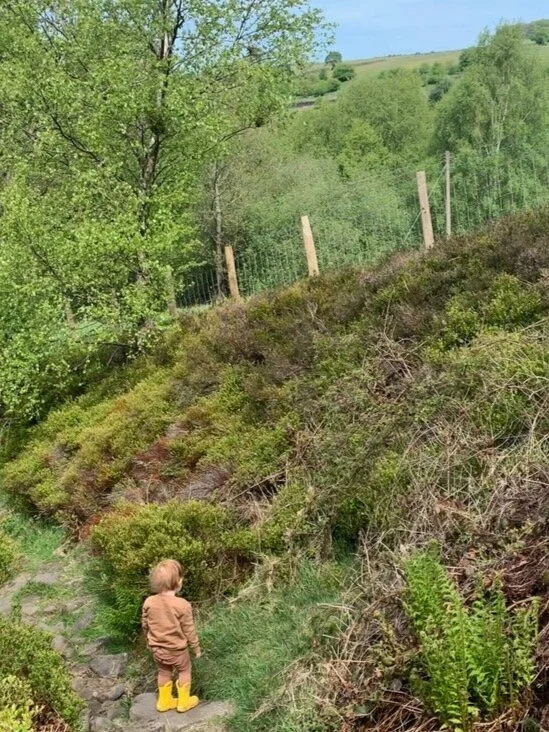 A HYPER-LOCAL SPRING by Amy Liptrot