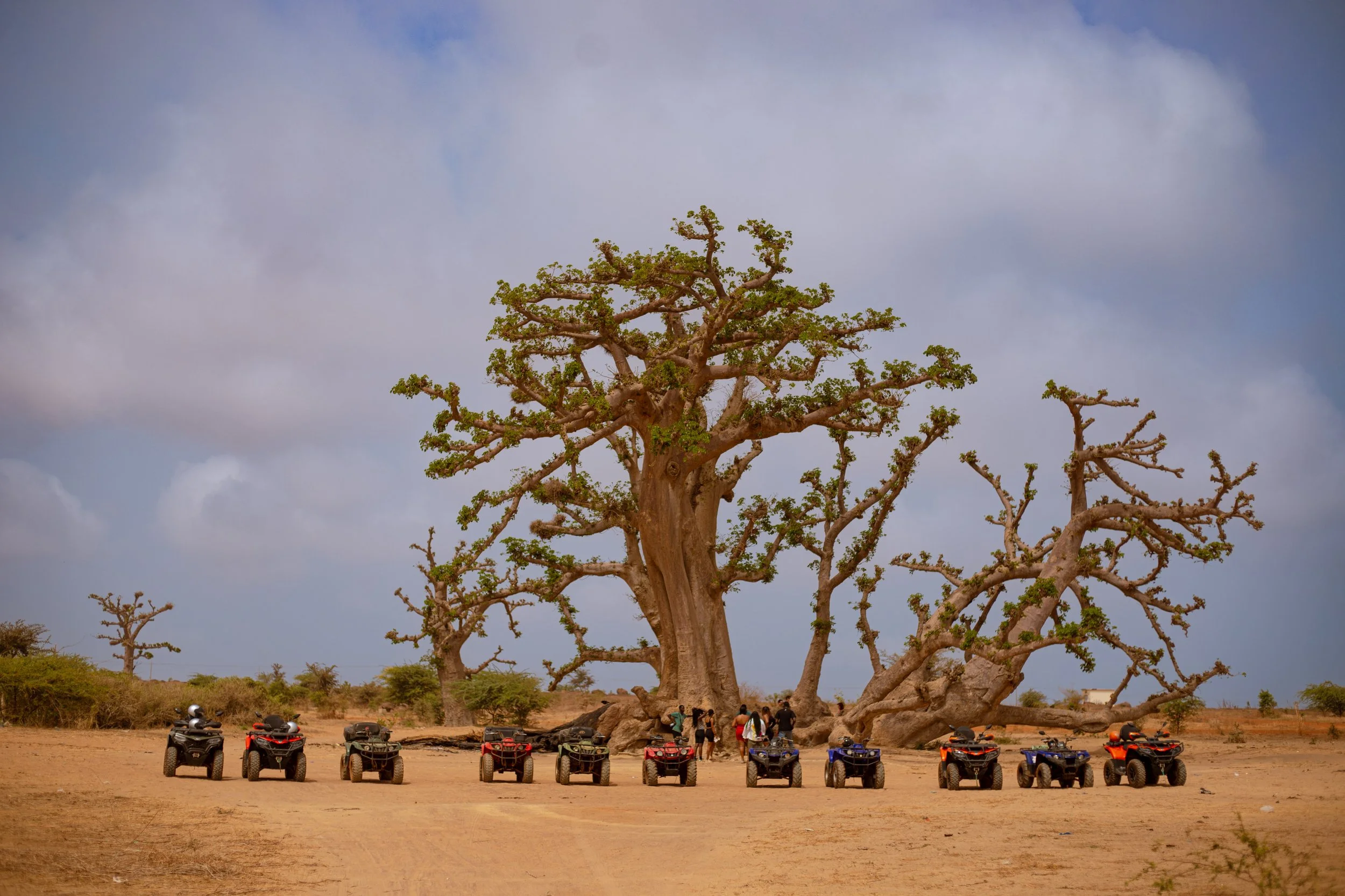 Buoyant  (34 of 120).jpg