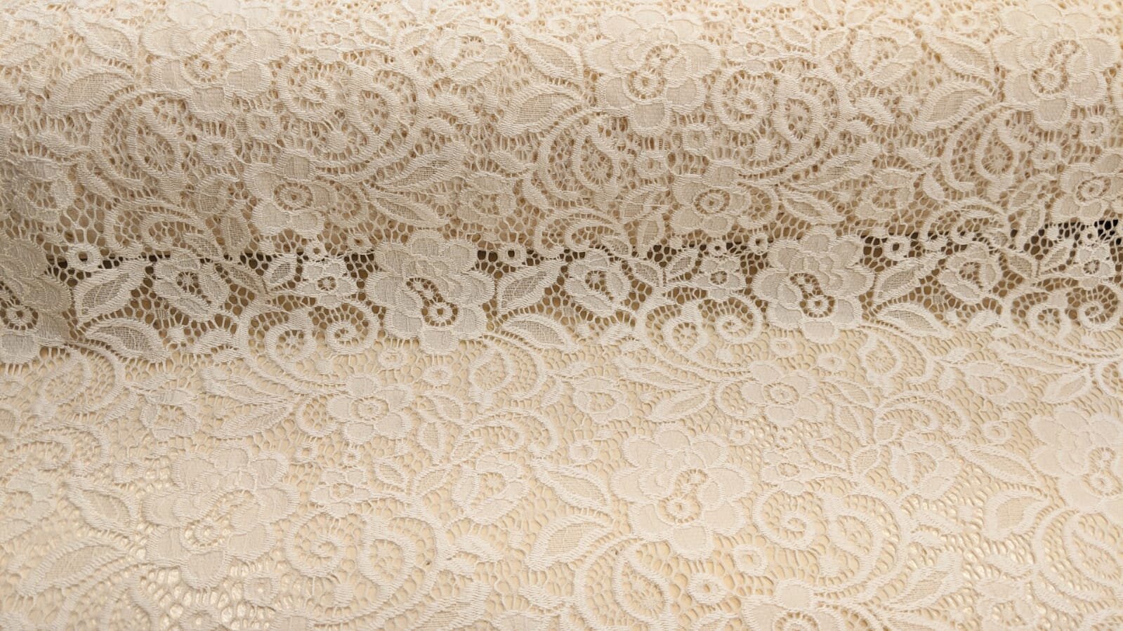 Cream Stretch Lace