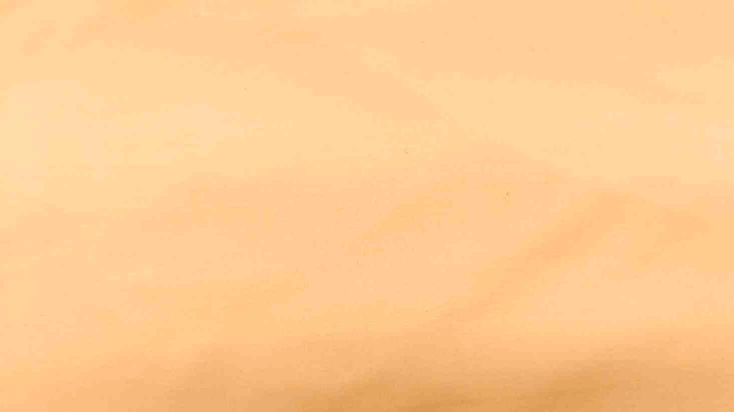 Light Gold Cotton Satin