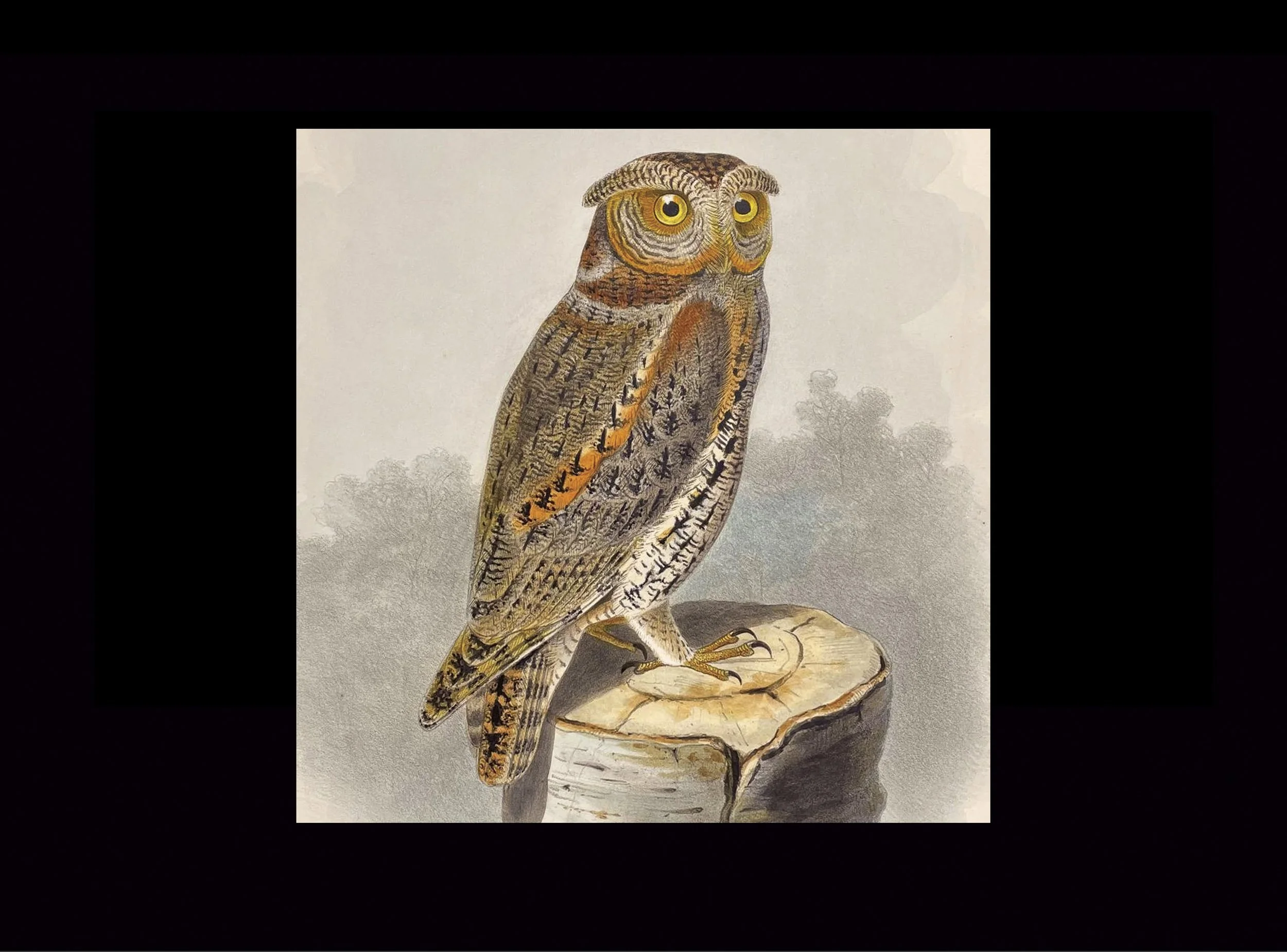 GNAC: Elegant Contact