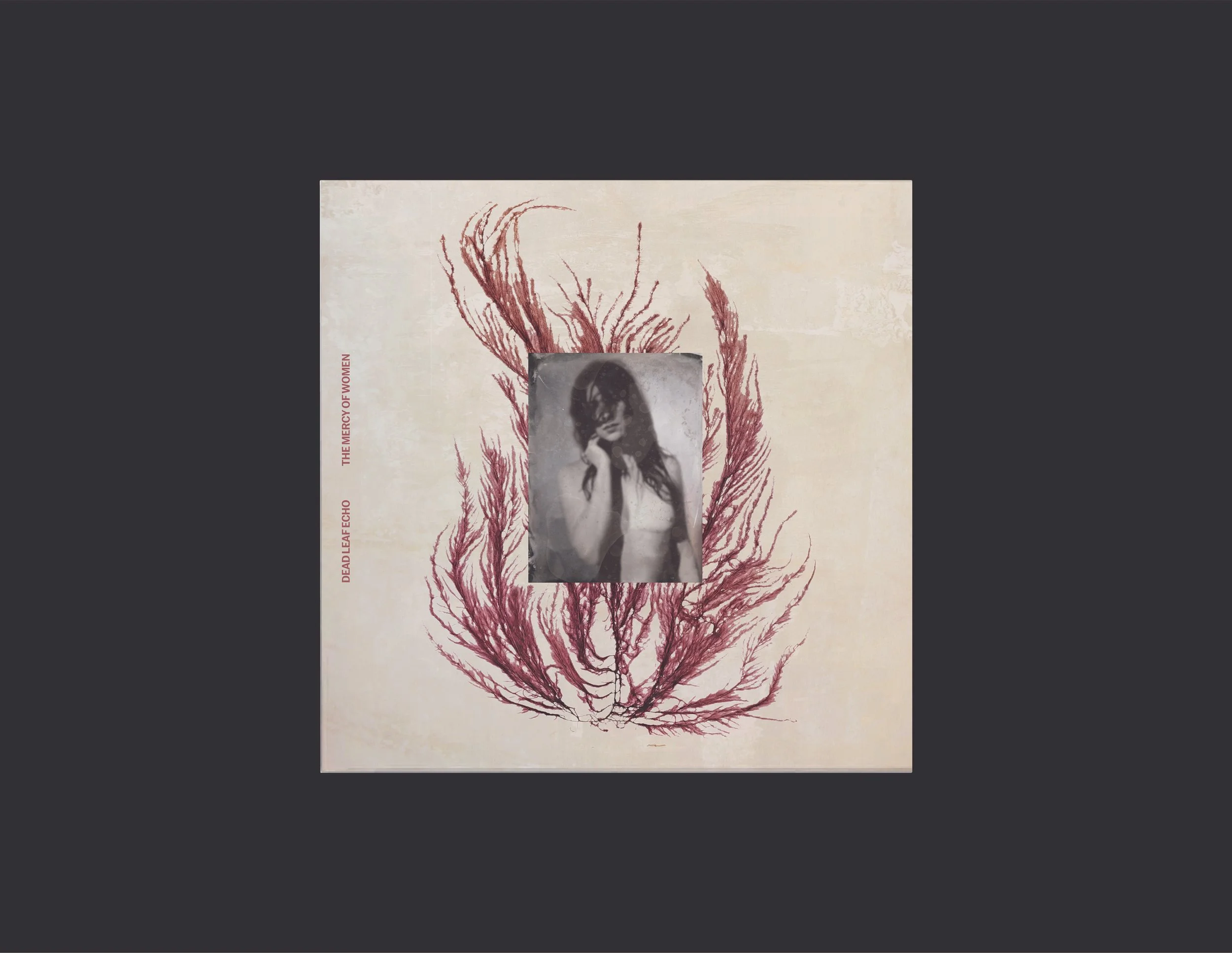 Dead Leaf Echo: Truth 12" / The Mercy of Women LP