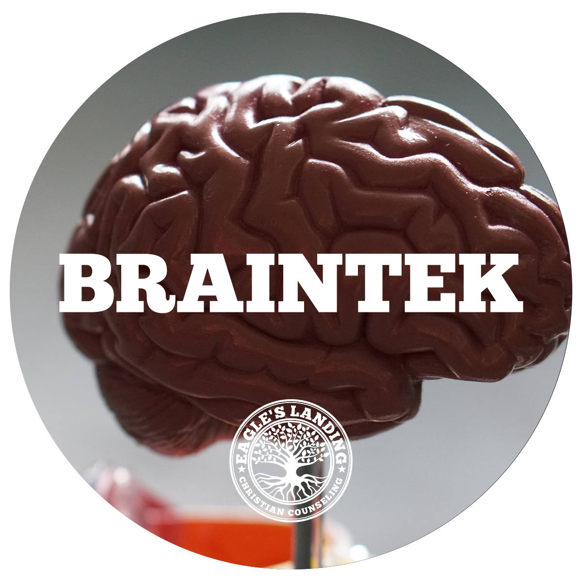 BrainTek.png