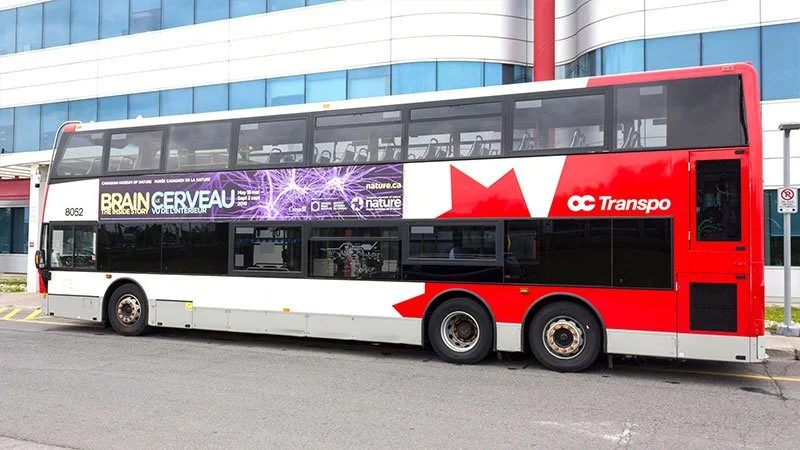 Public Transport Advertising