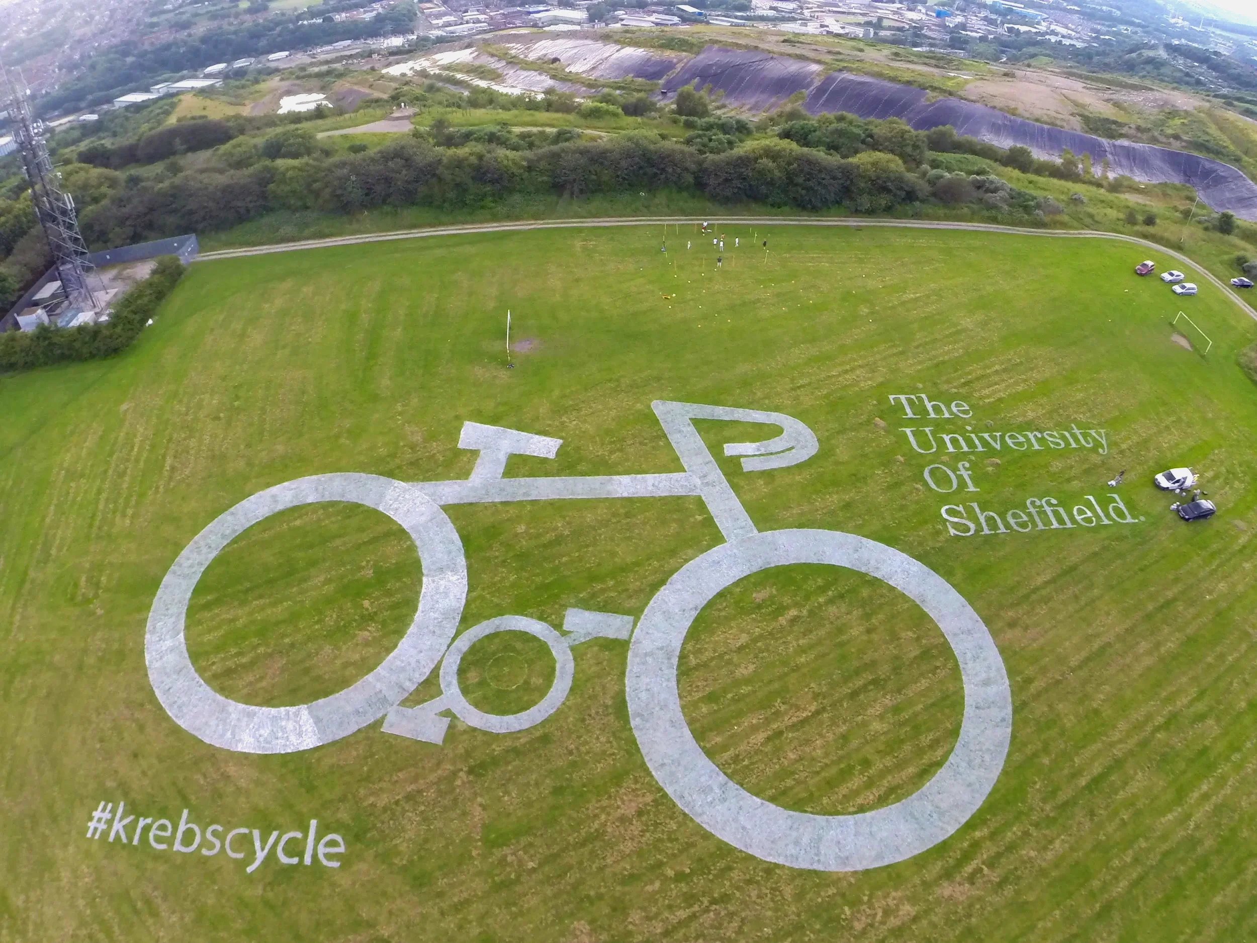 Ambient Advertising One Day Agency