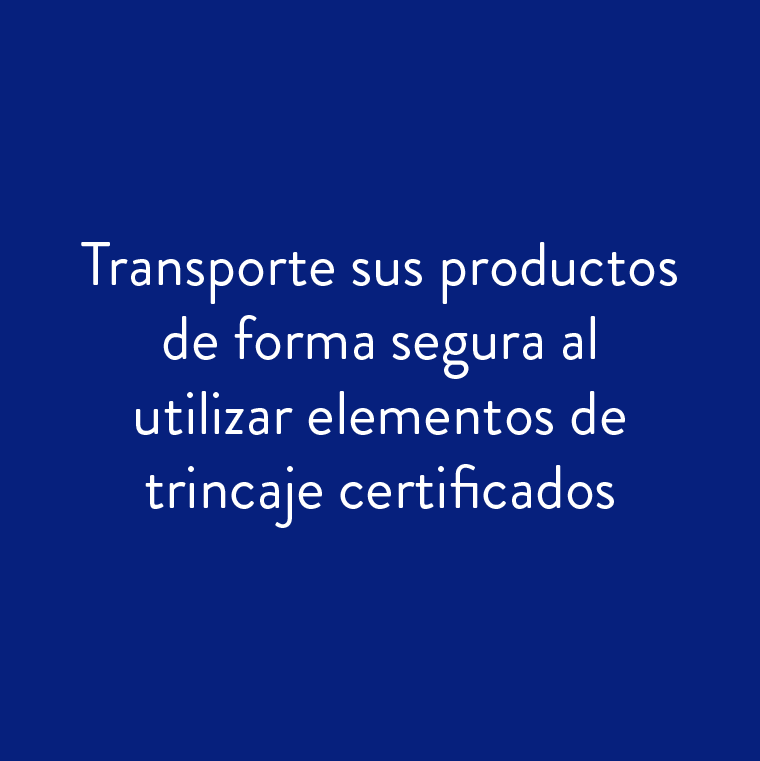 Texto-16.png