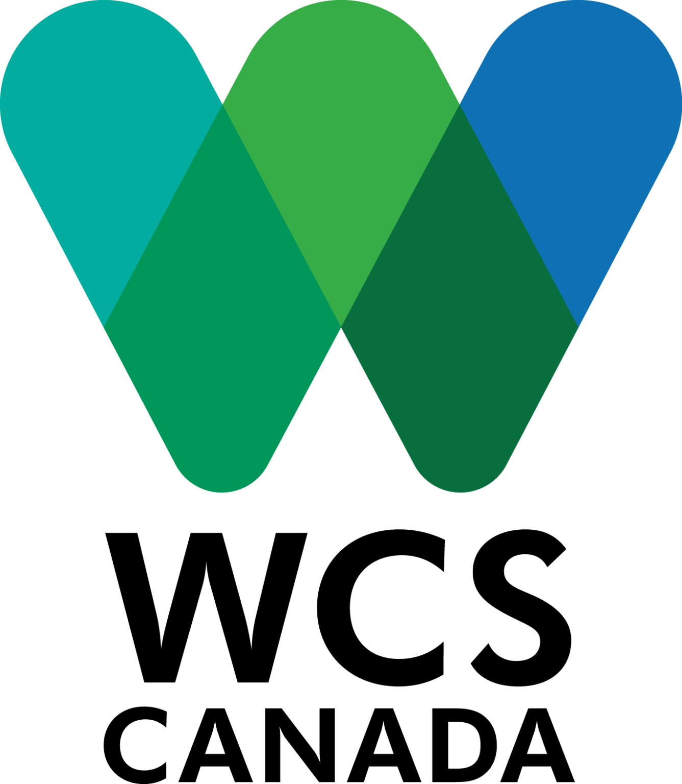 WCS-Canada_Square-1337x1536.png