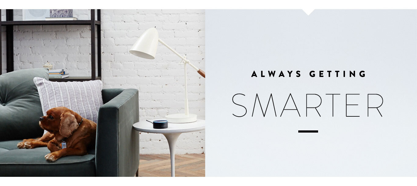 feature-alwaysgettingsmarter.jpg