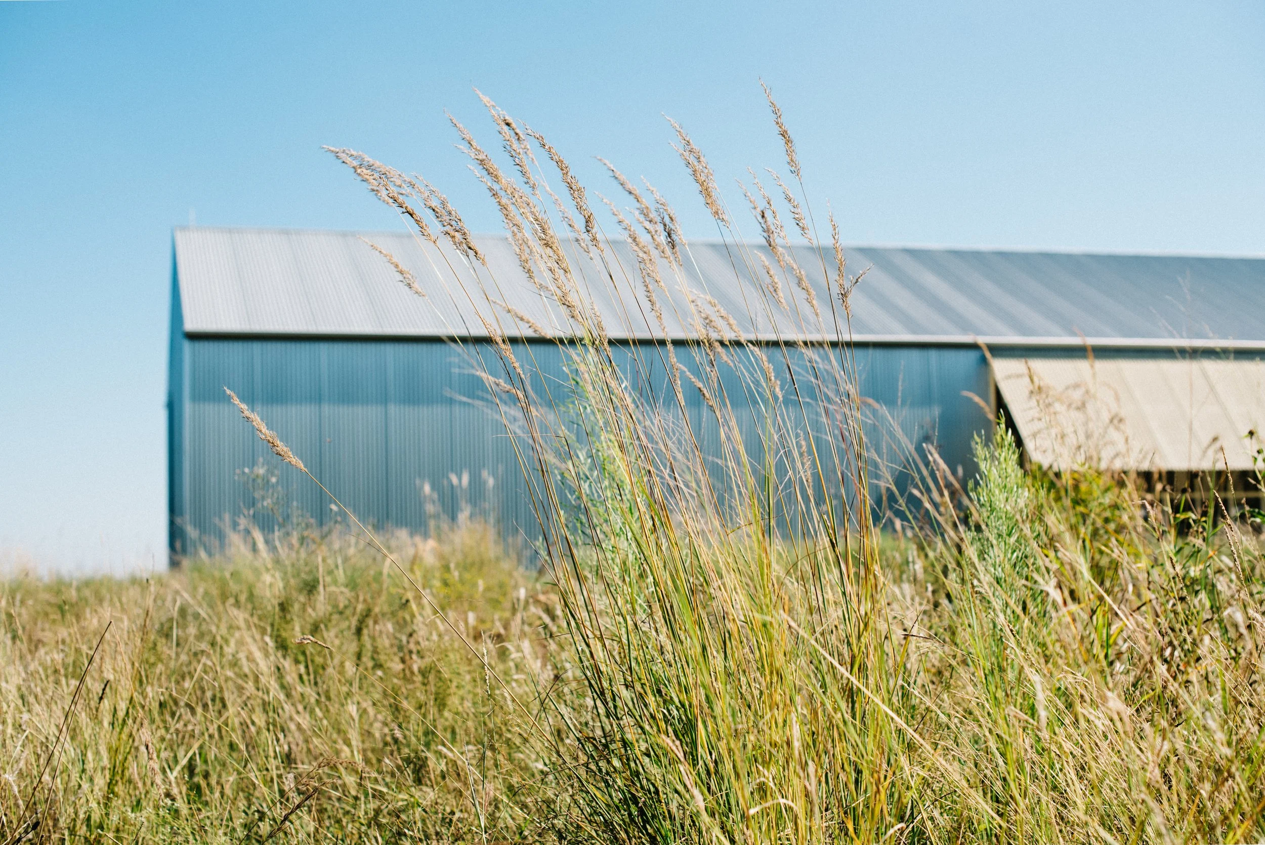 Unique Austin Wedding Venue - Prospect House
