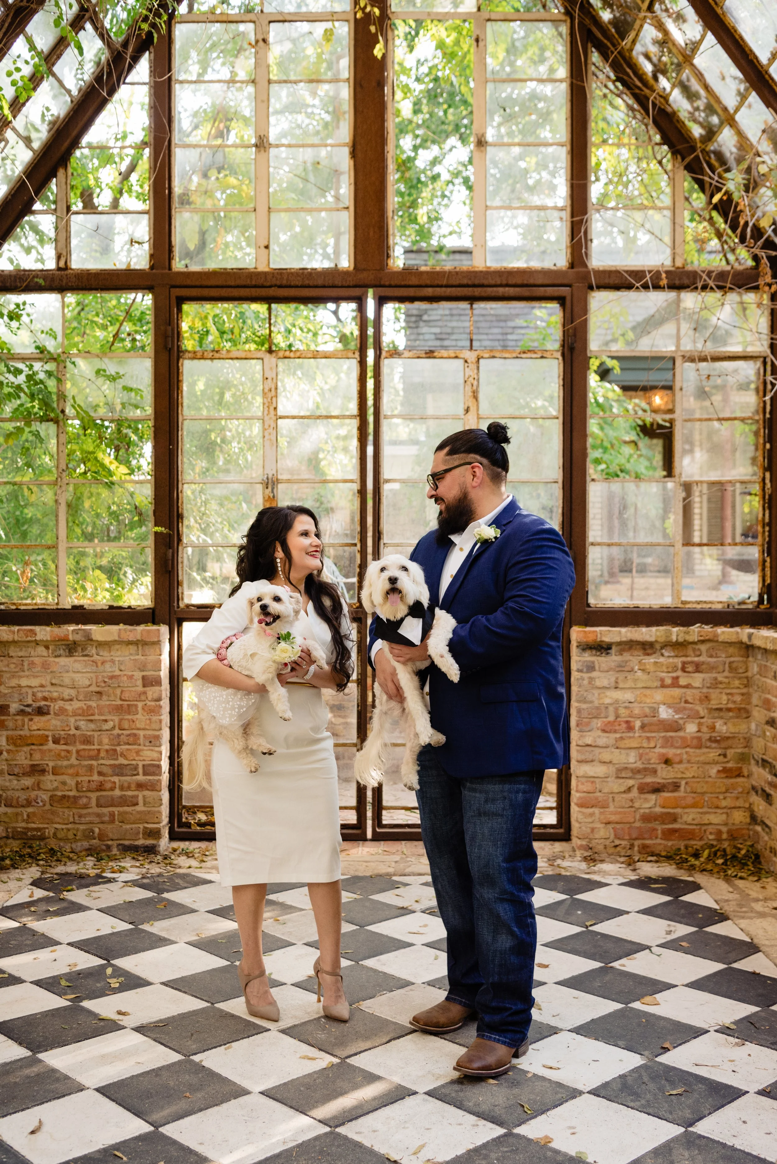  Newlyweds and their pups at their Austin elopement 