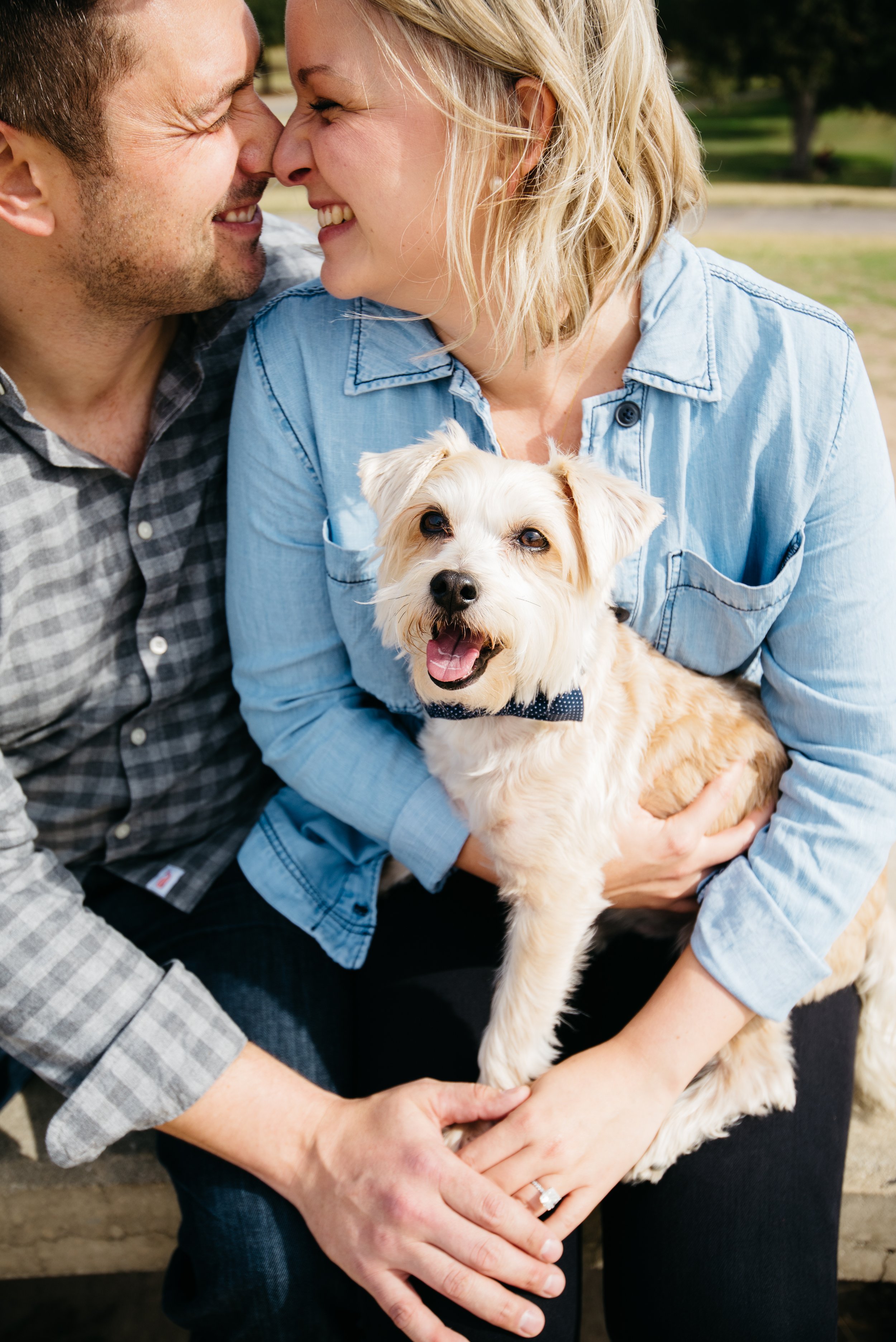  Engagement photos with dog 