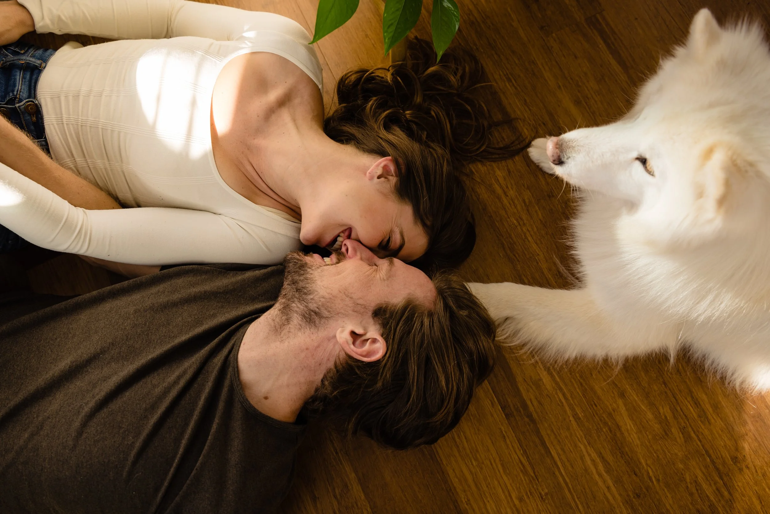  Beautiful dog with couple 