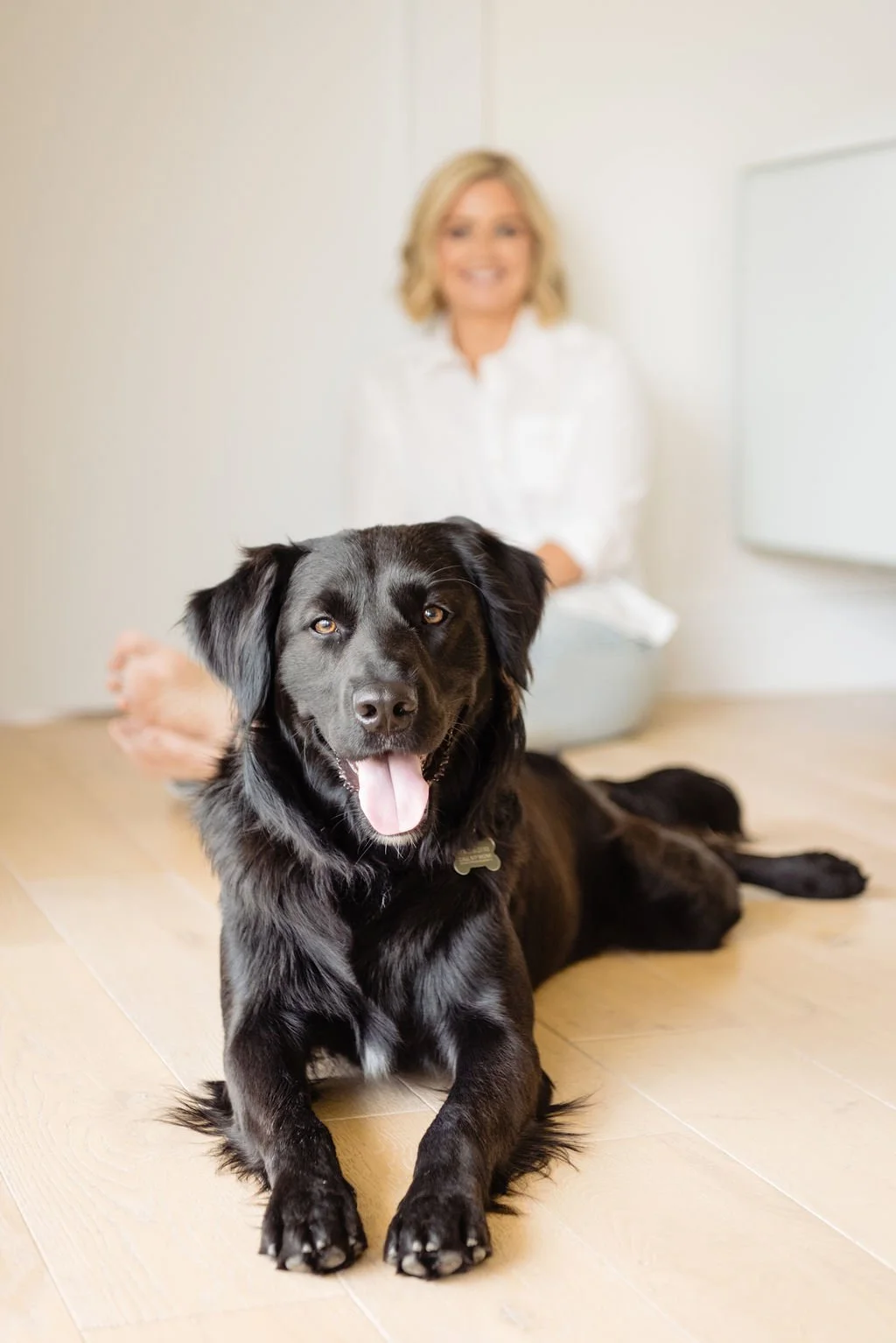  Dog portraits in ATX 