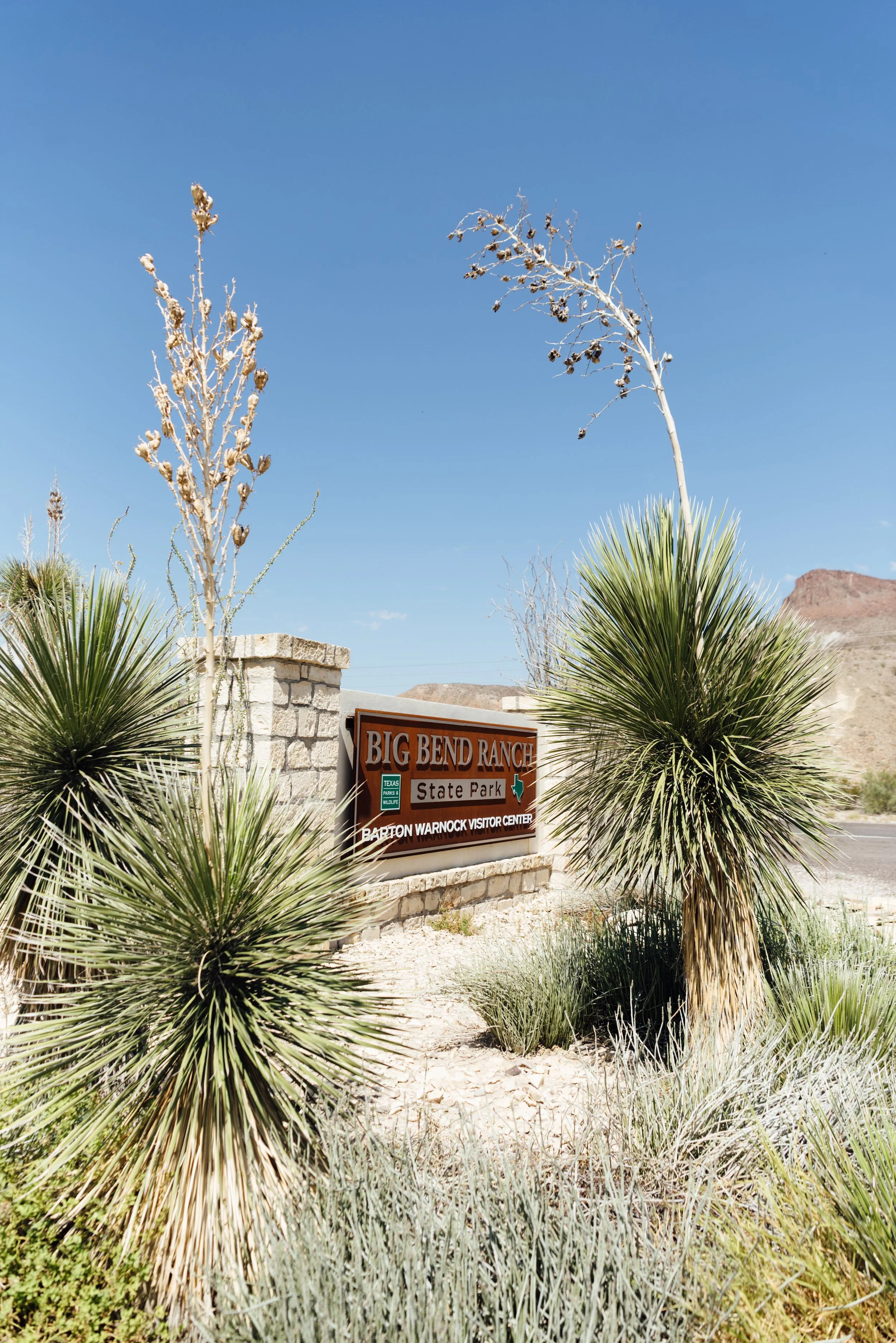 terlingua_lisahause_98.JPG