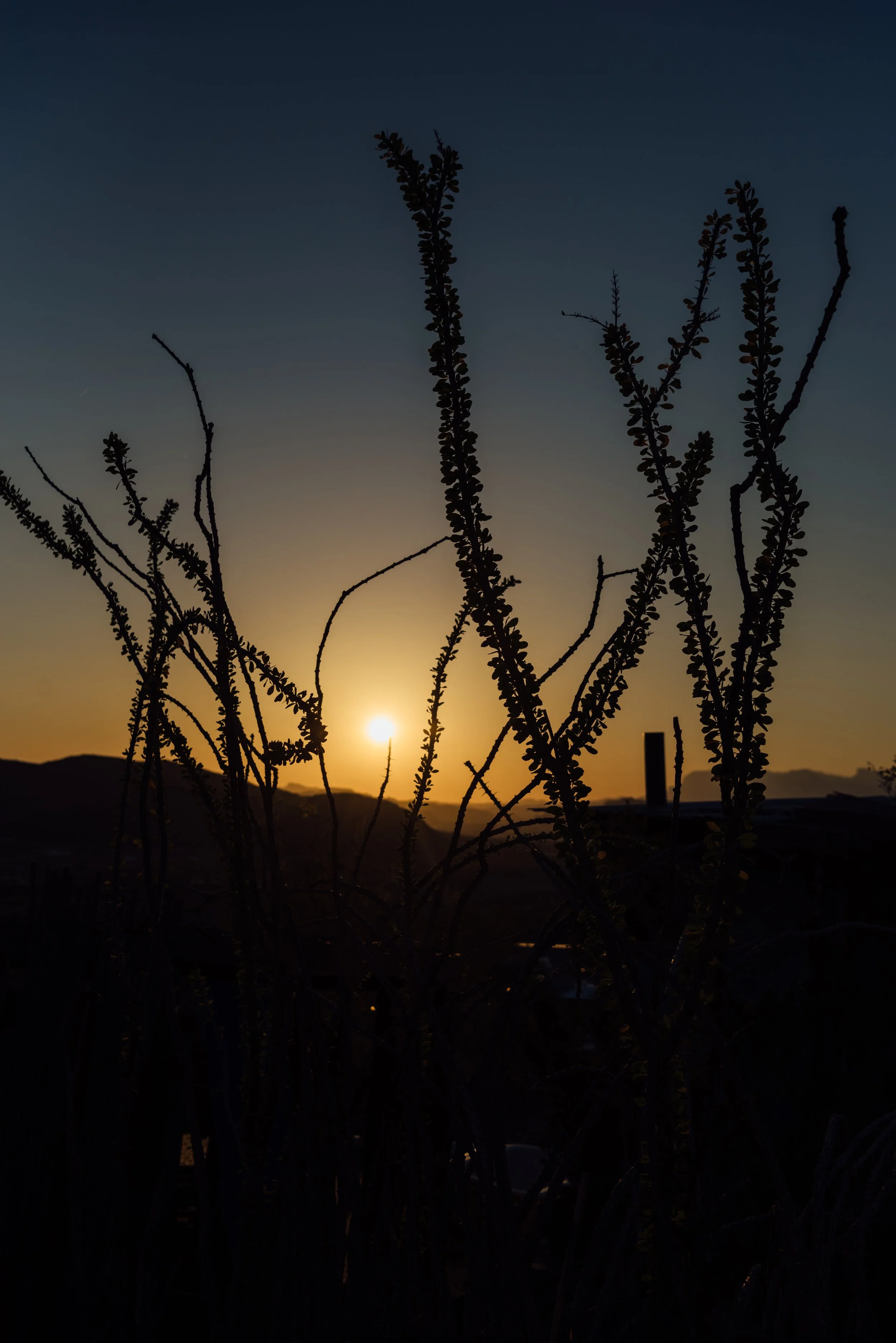 terlingua_lisahause_15.JPG