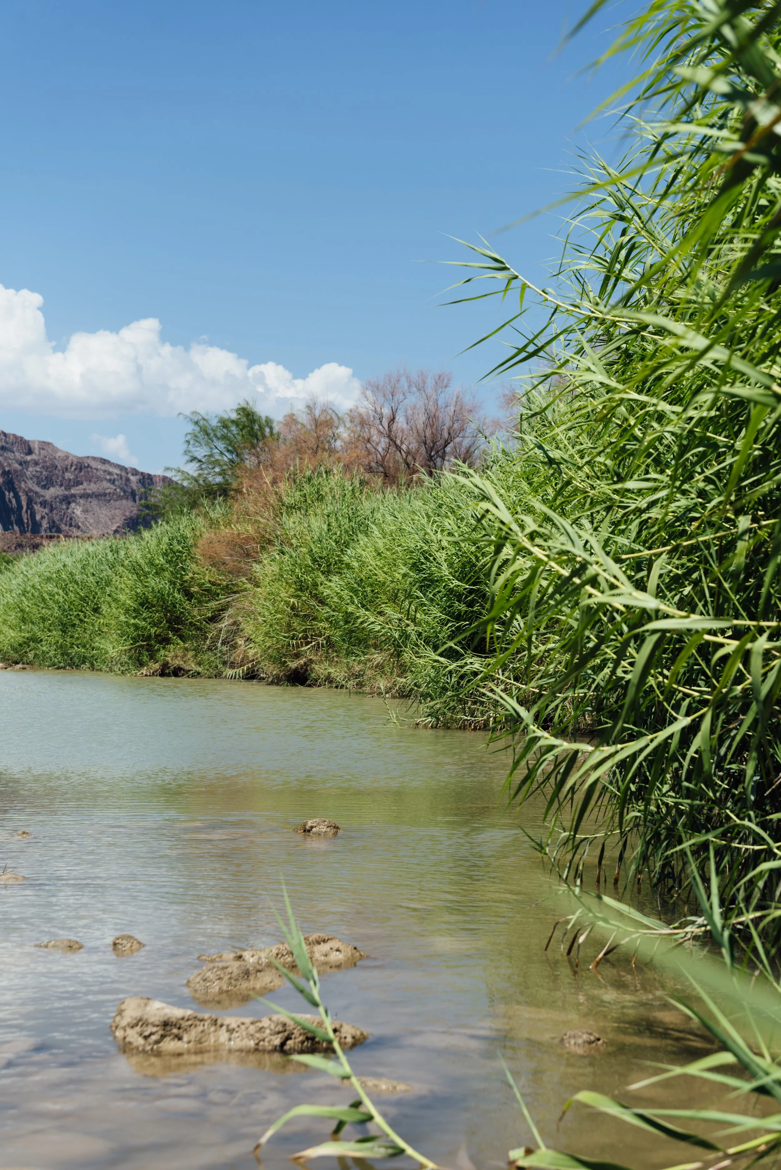 terlingua_lisahause_116.JPG
