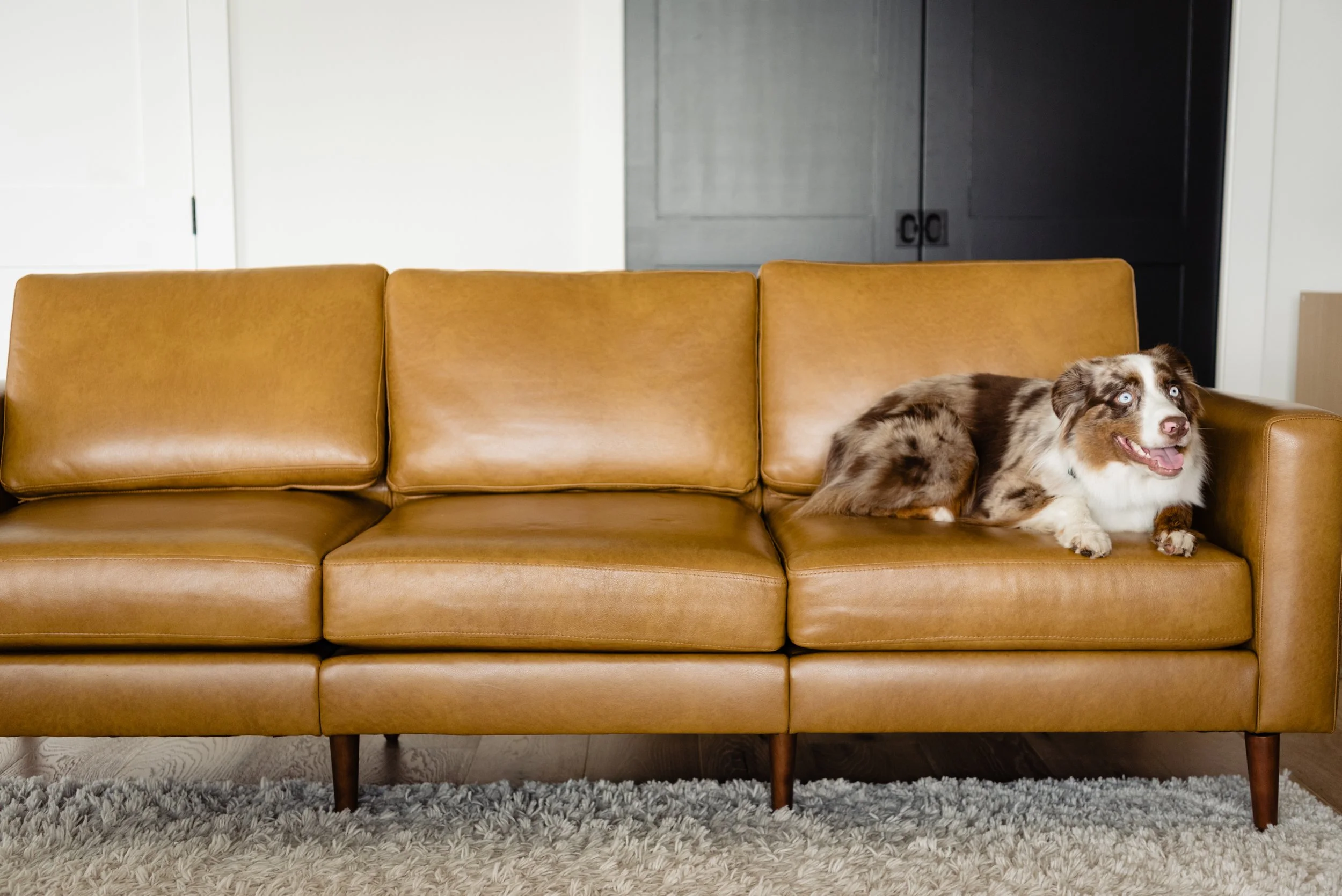 Beautiful dog friendly Austin wedding moment