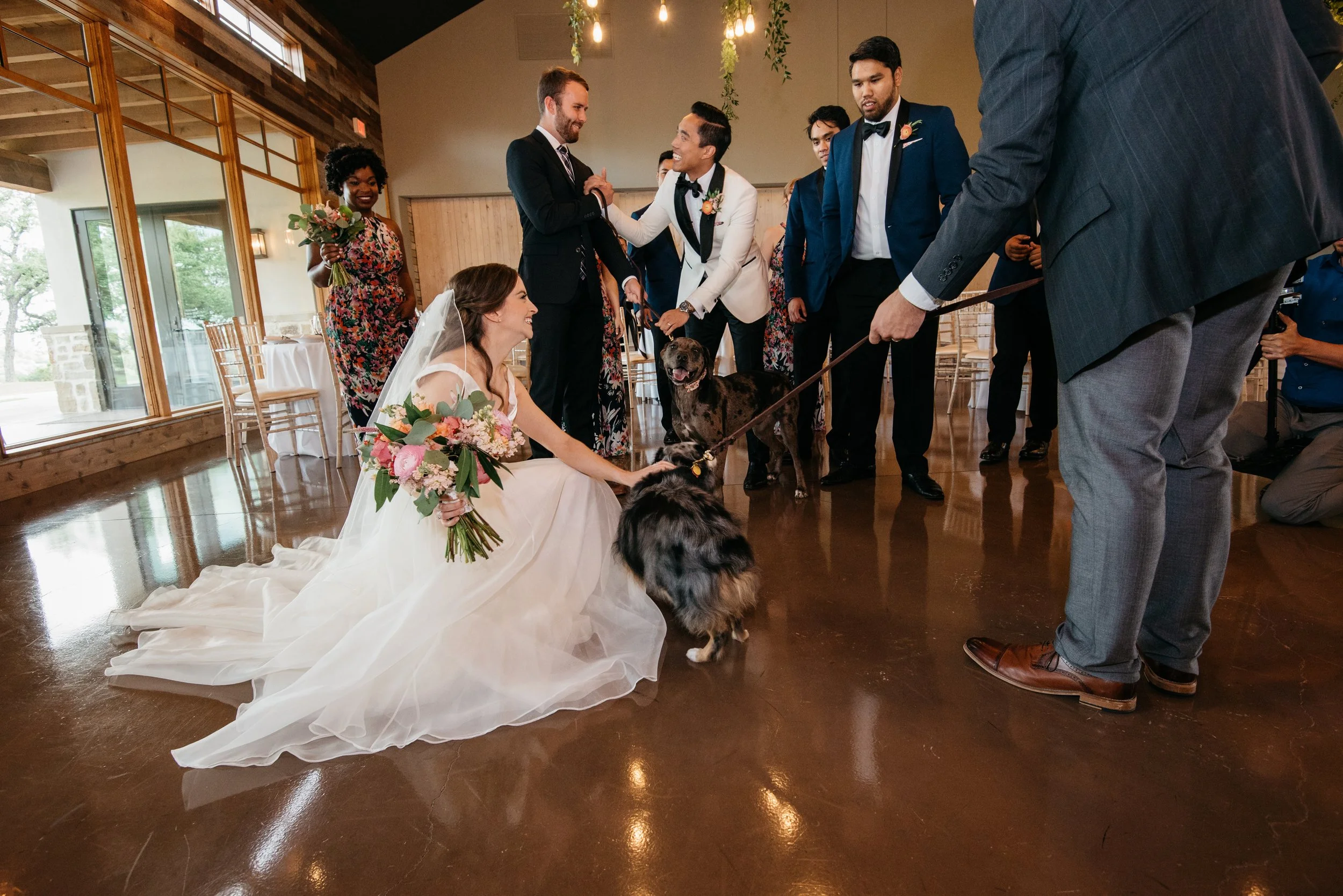 Dog friendly Austin wedding photographer gets the perfect moment