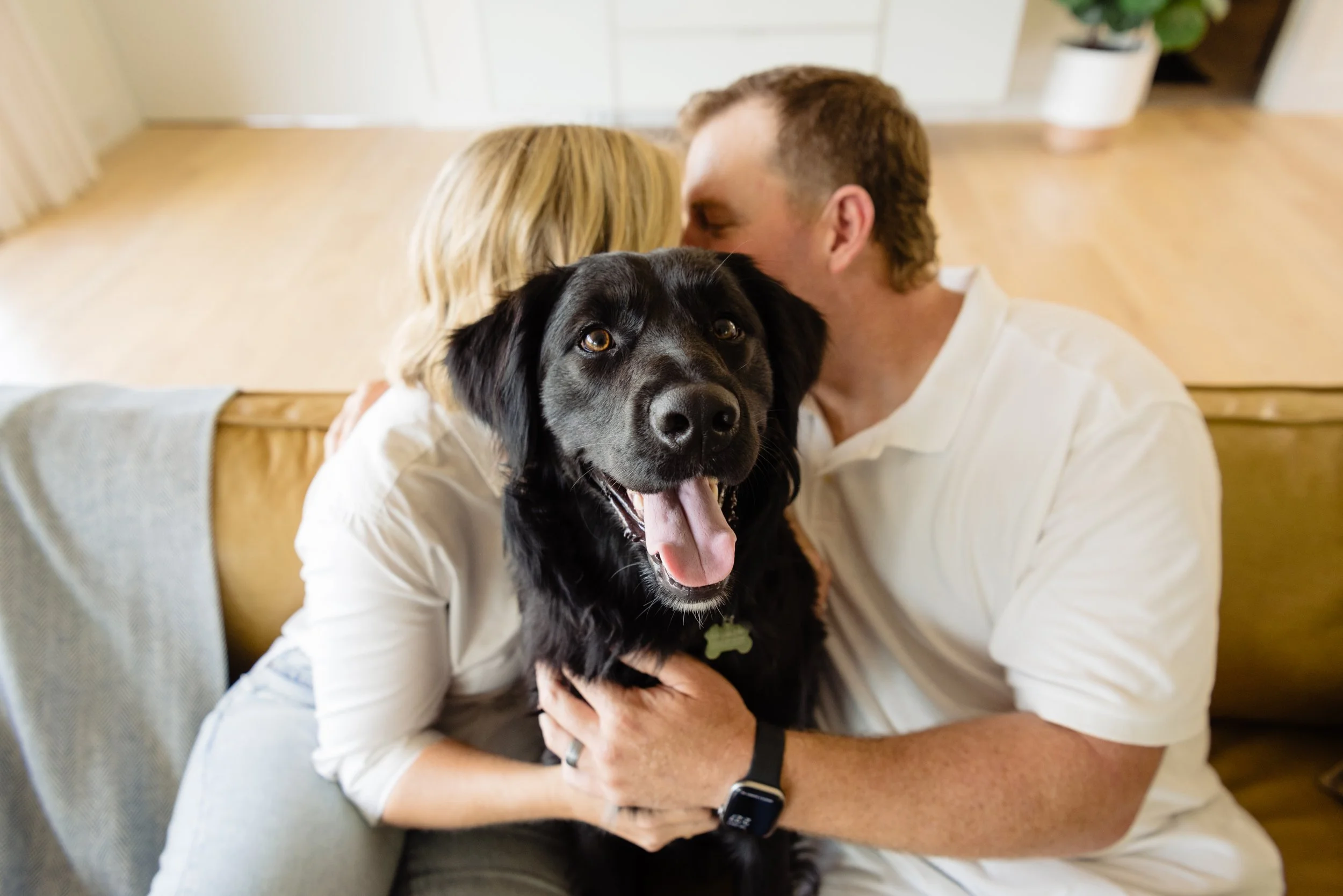 Branding session with Austin photographer, clients, and dog