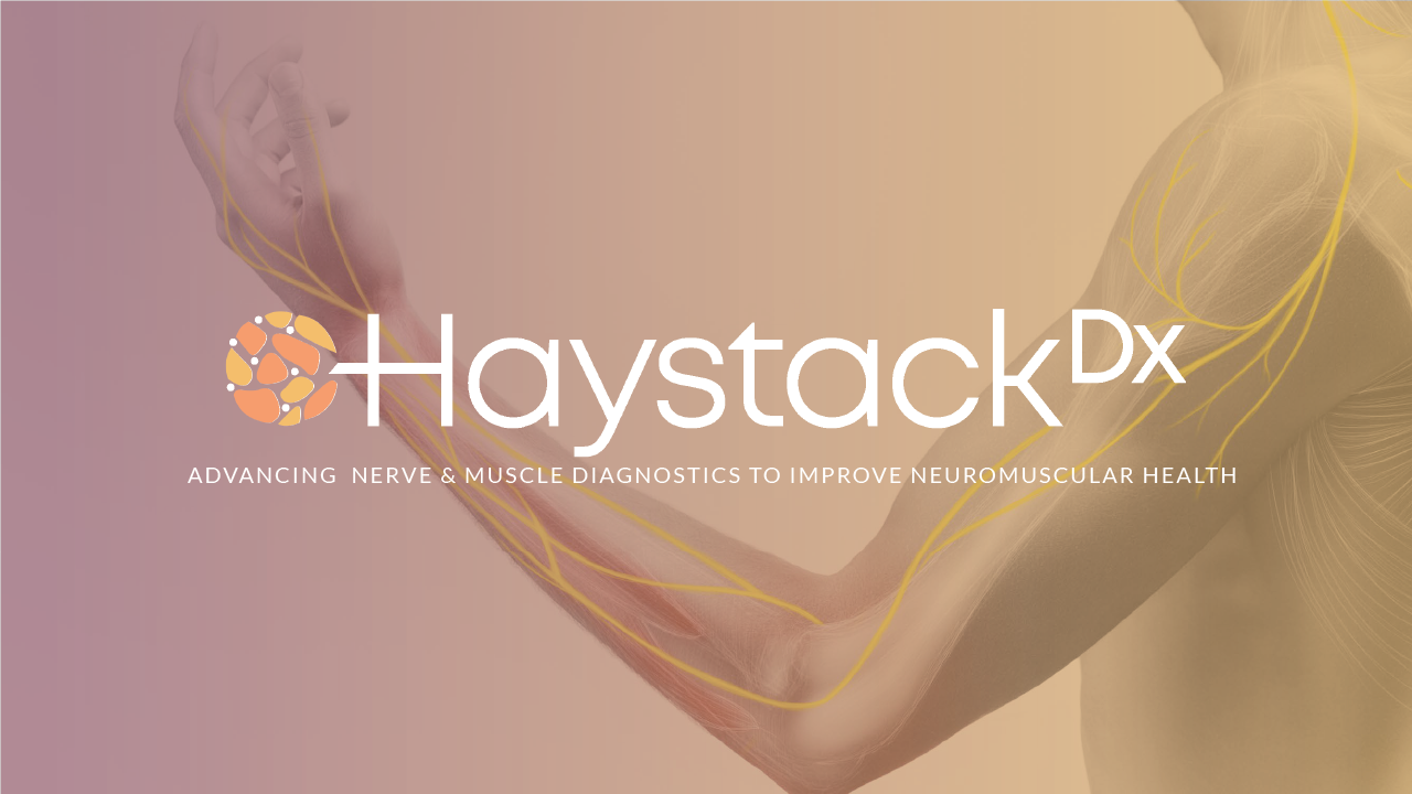 HaystackDeck_ForSite-01.png