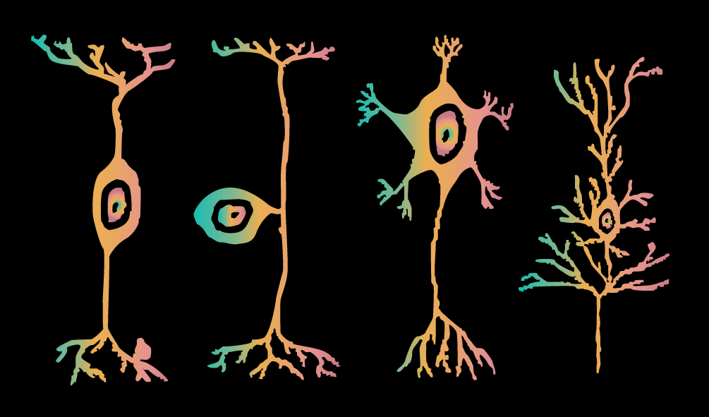 Neuron Graphics-02.png