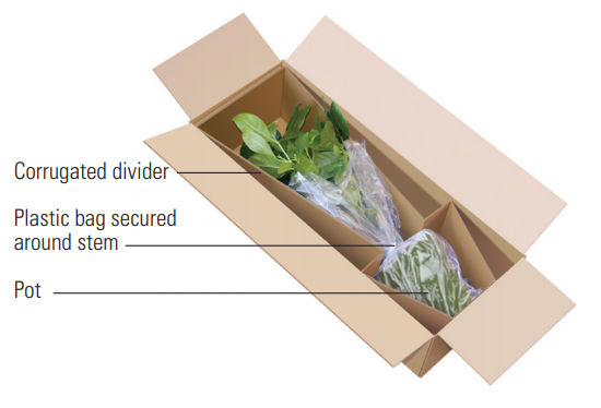Via Packaging Guidelines for Flowers and Plants by FedEx