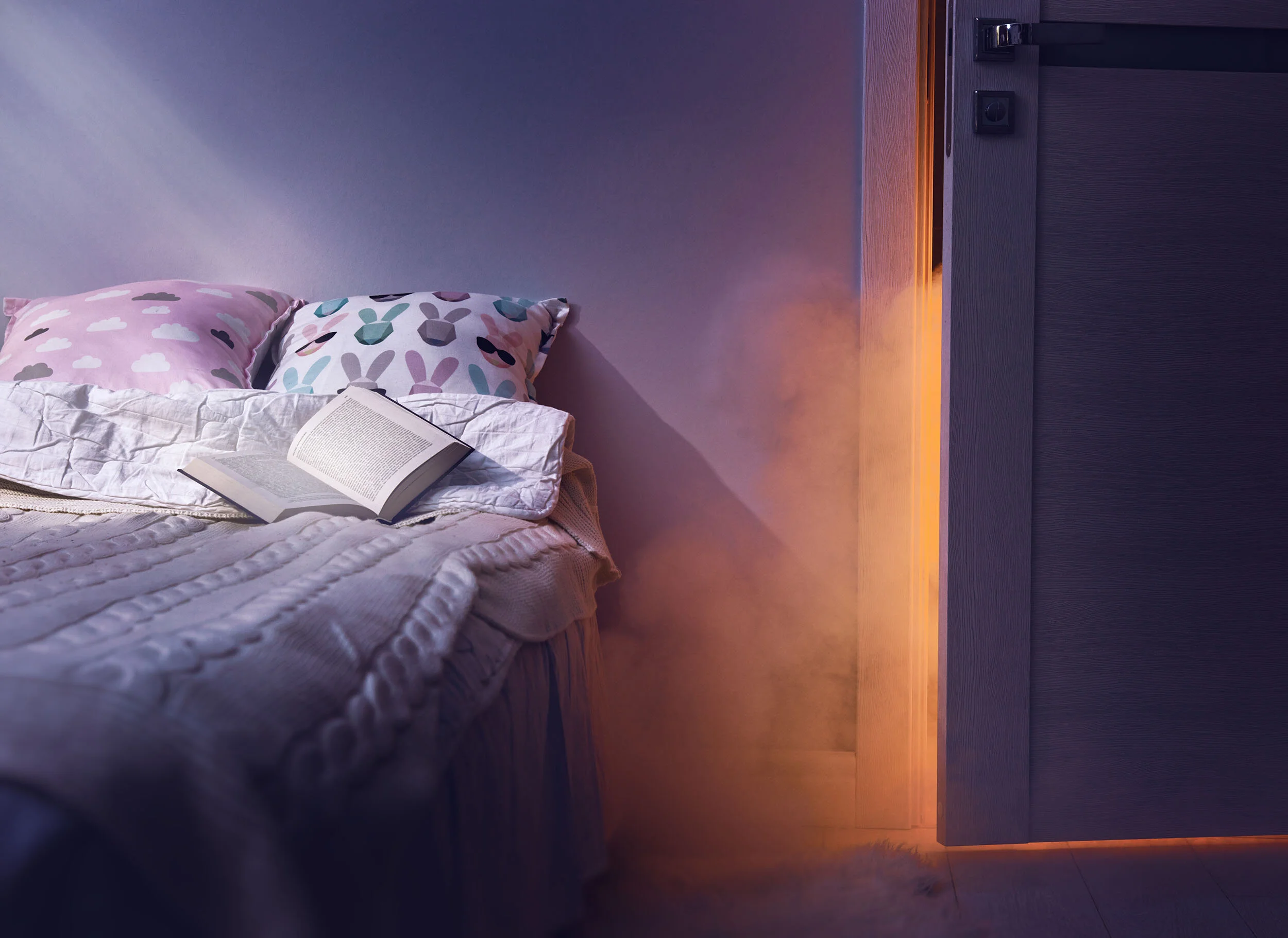 BedFire_2500.jpg