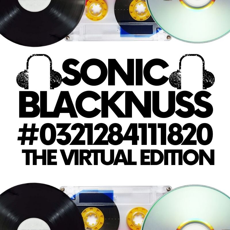 SONIC BLACKNUSSthe virtual edition  LOGO .jpg