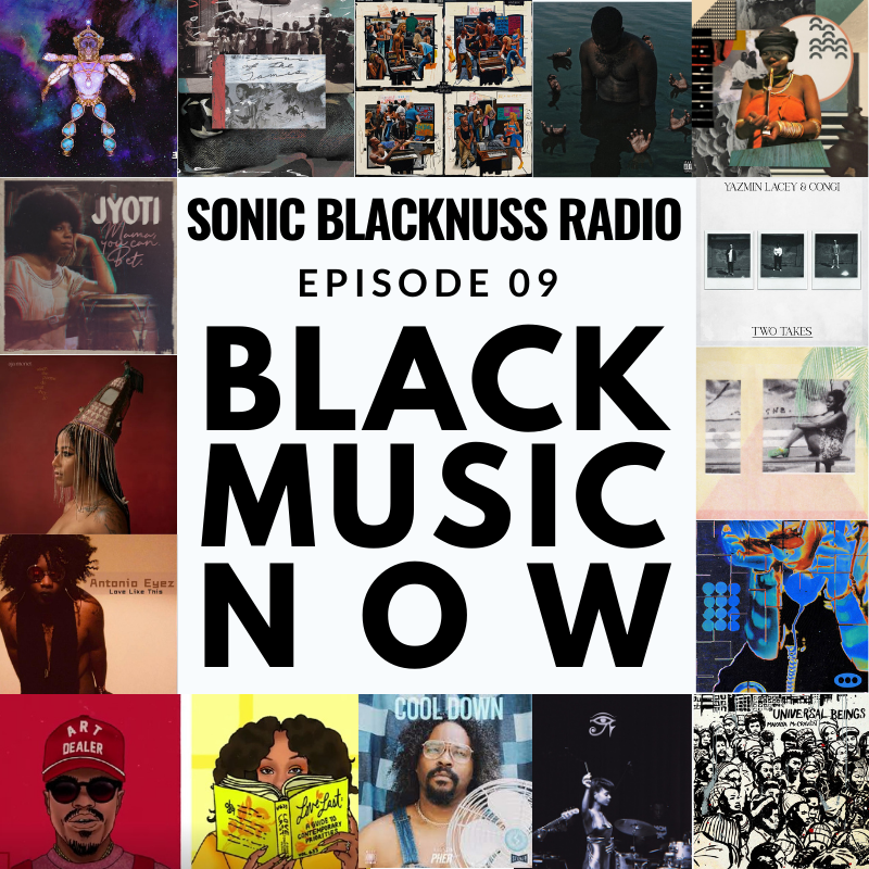 SONIC BLACKNUSS PODCAST PLAYLIST  LOGO  (13).png