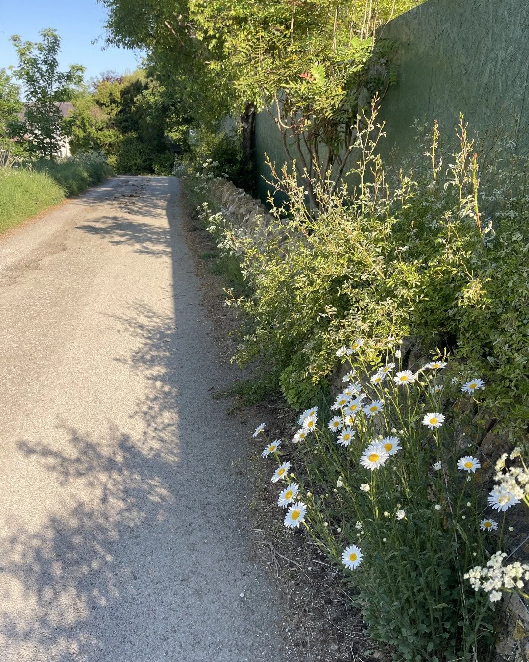 It&rsquo;s funny how as we get older we start taking things for granted.
We get busy. We get blinkered. We stop really seeing what&rsquo;s right in front of us.

When I first moved to the Cotswolds six years ago in the summer, I was genuinely blown a