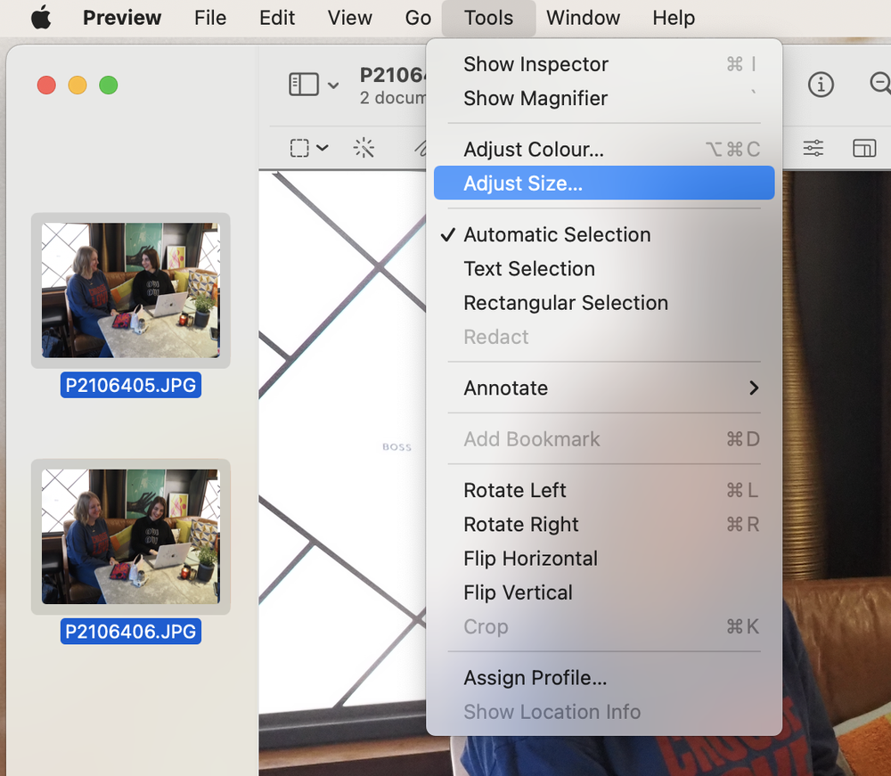 How to Resize and rename your Web Images to make your website more ...
