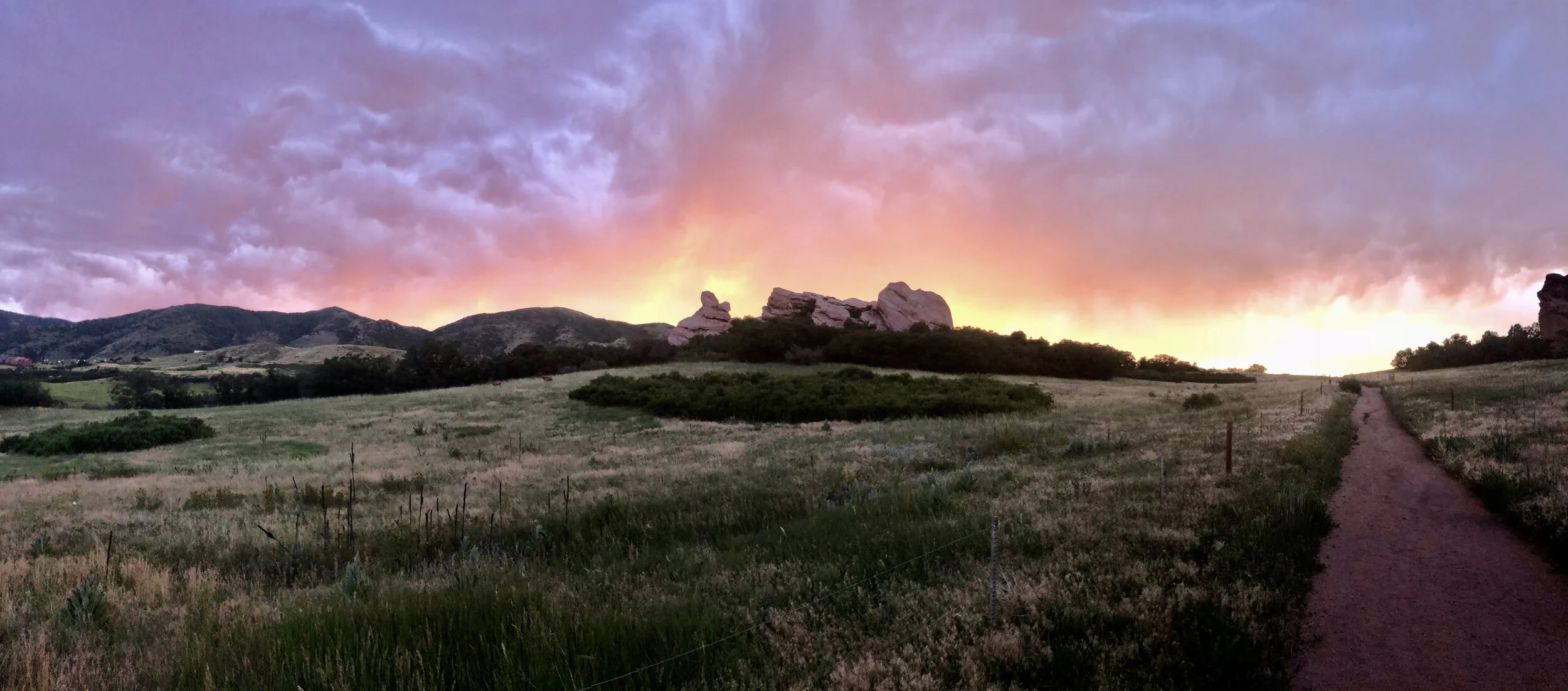 How Did this Even Happen?