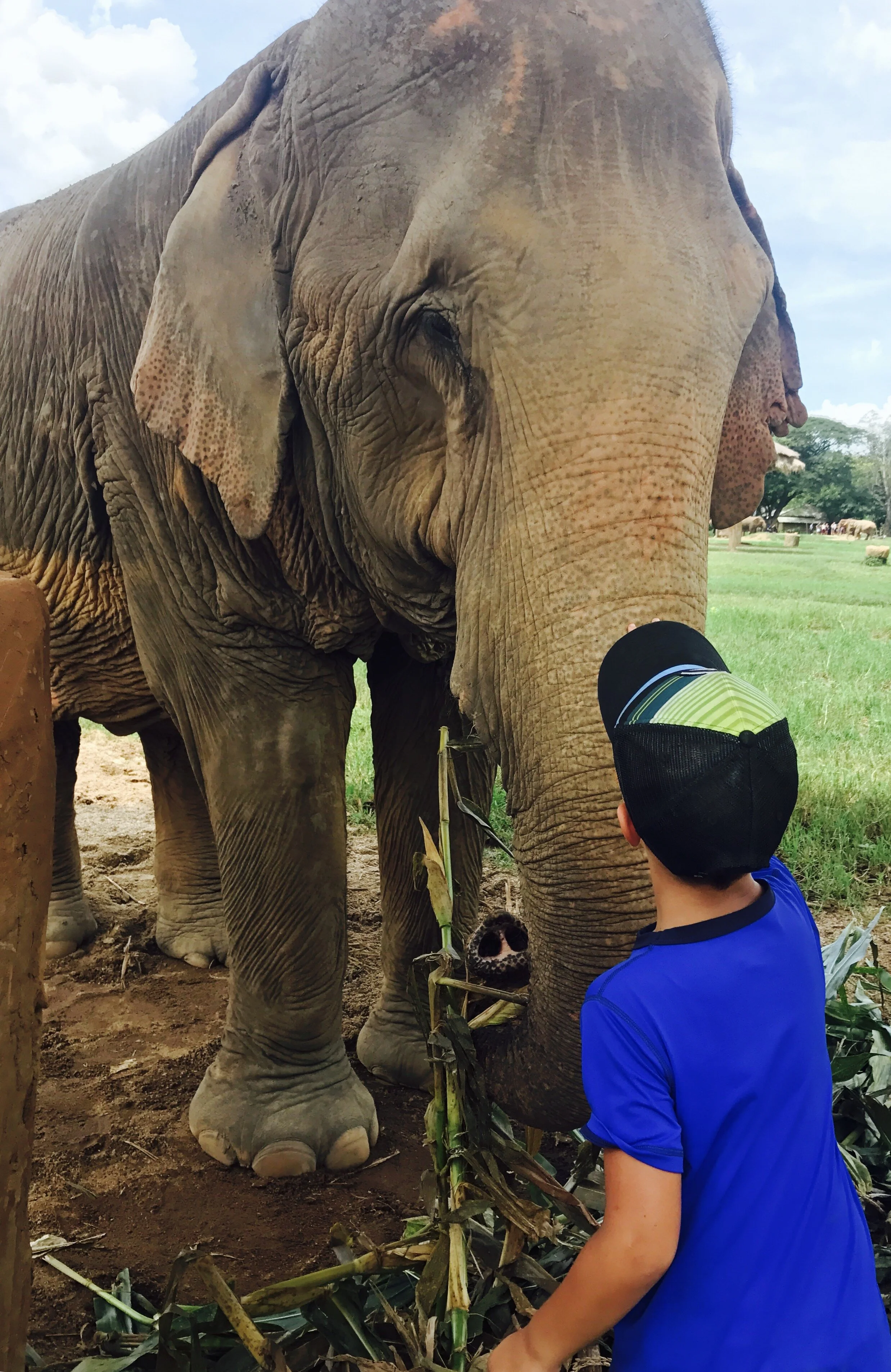 Thailand and the Intrepid Travelers
