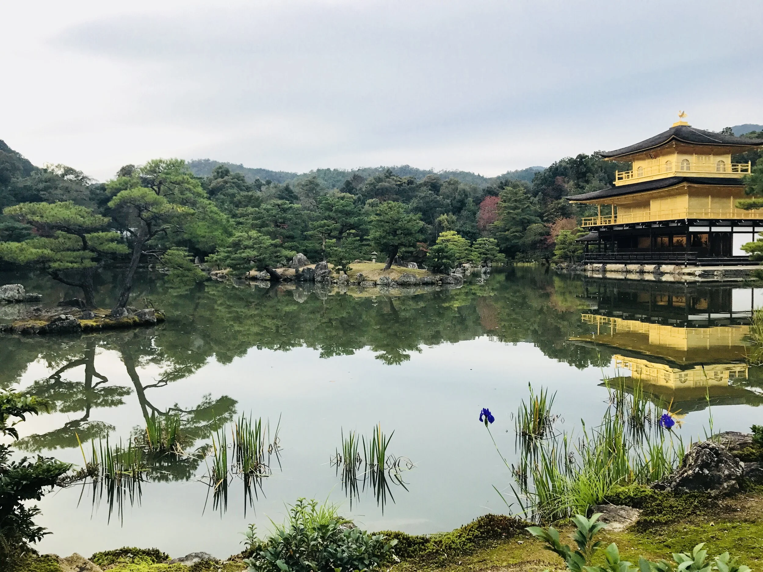 Top 9 Ways to Really Experience Kyoto and Tokyo with Kids- The  Musts!
