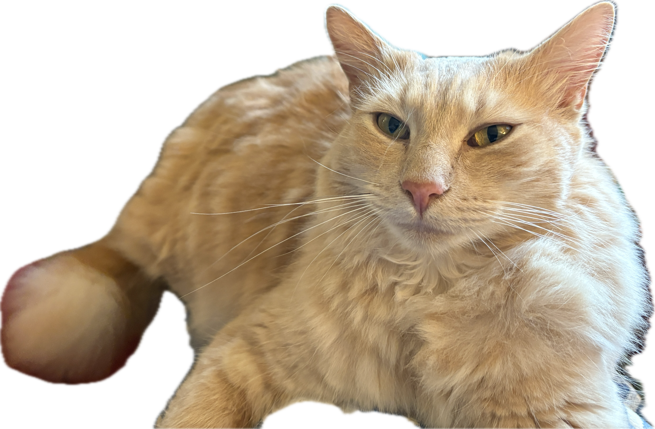 Subject 2.png