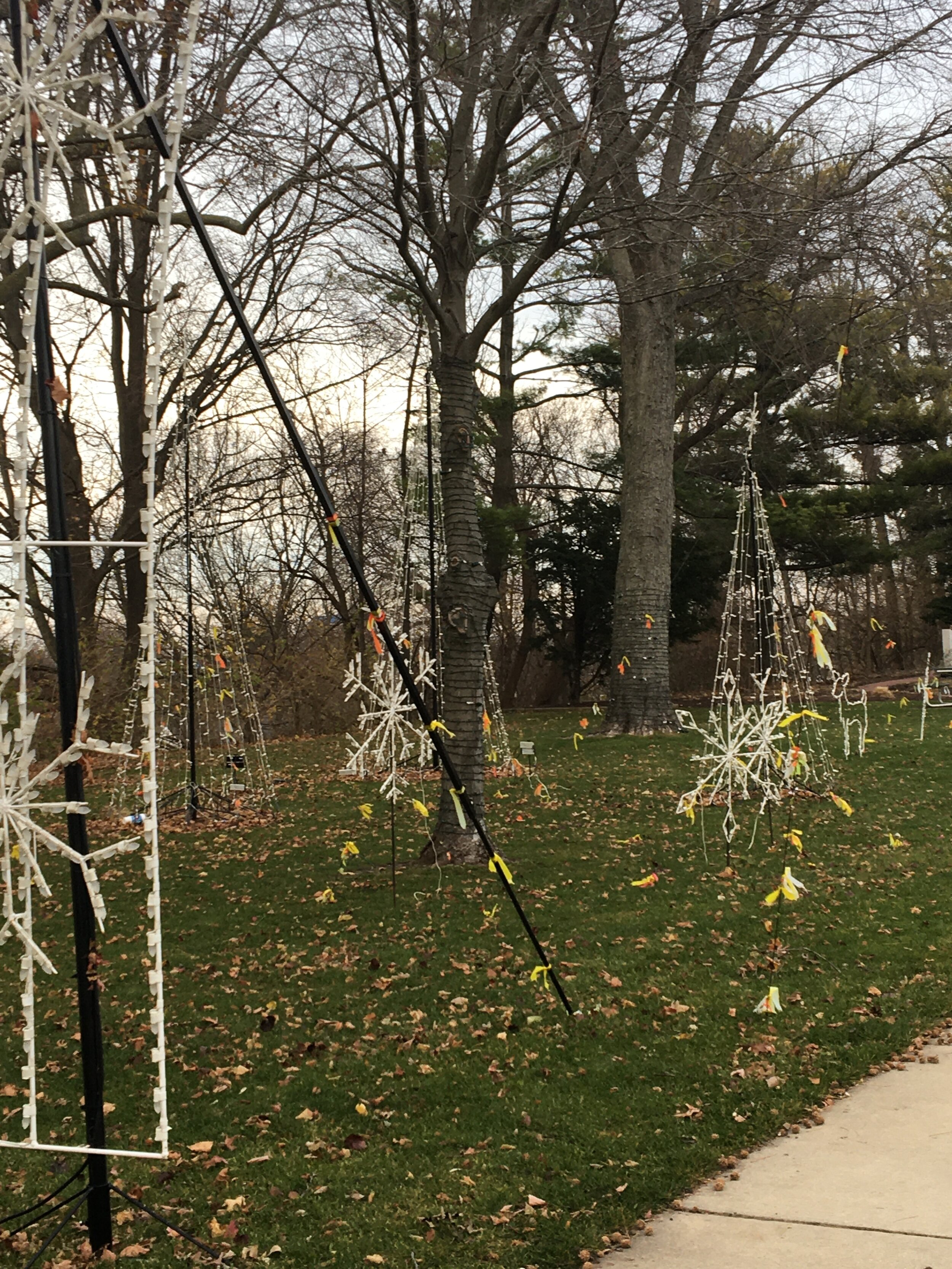 Light Up the Bluff set for December