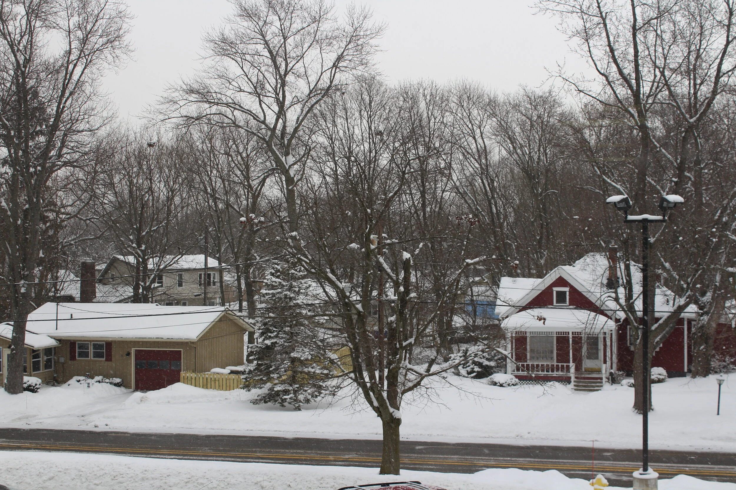 First Snow Day of 2021