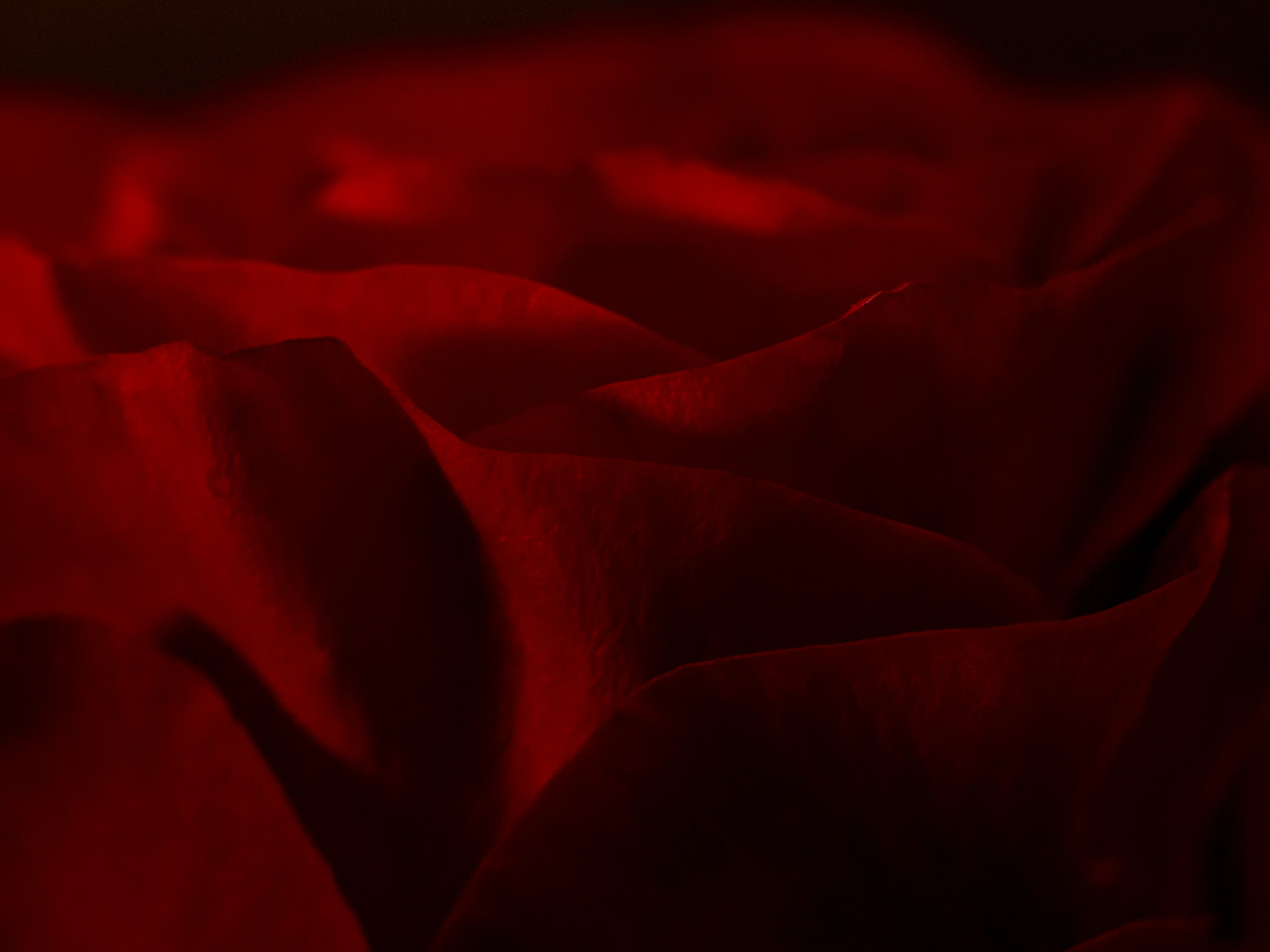 E7E1835E-A0D9-4CA1-9DBB-BA4ADC3D46D7.png