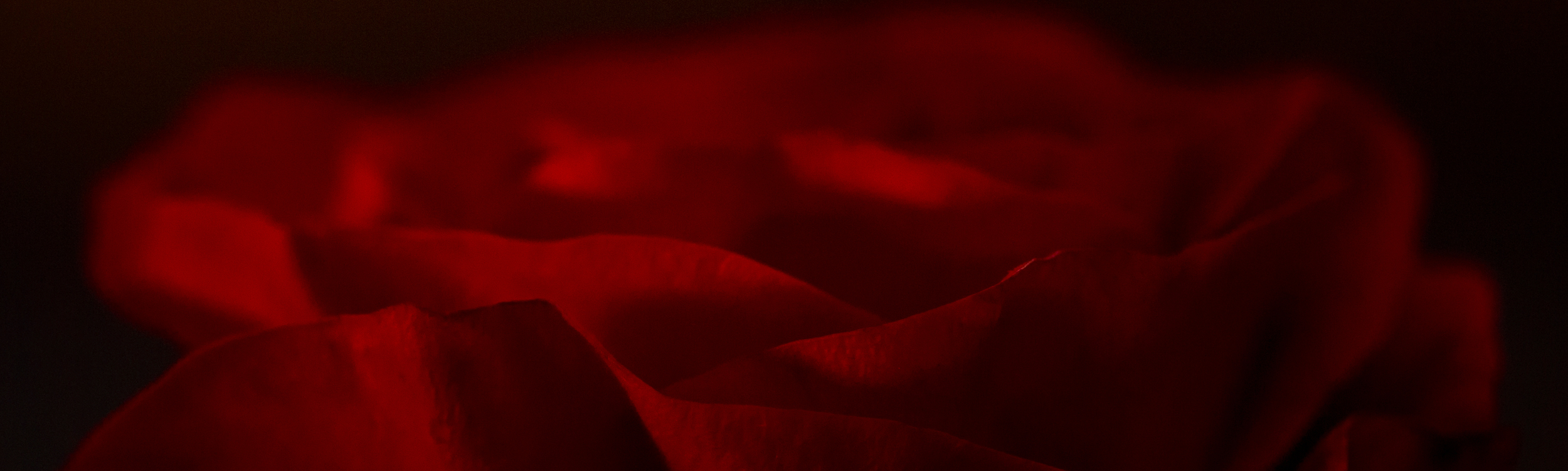 Untitled (40 × 12 in).png