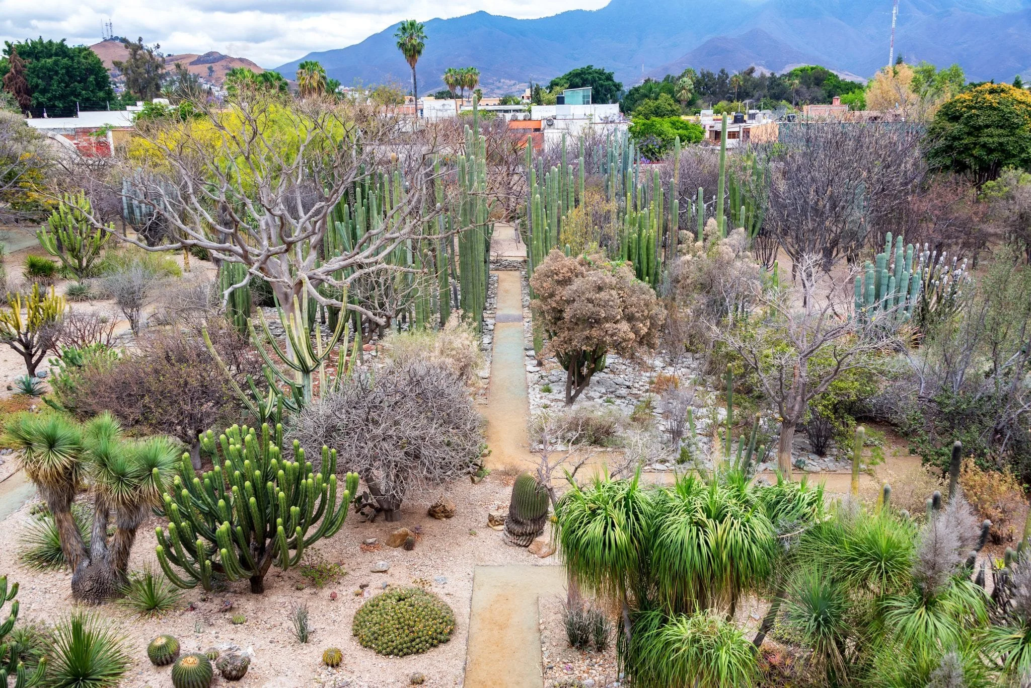 Oaxaca-Ethnobotanical-Gardens-2048x1367.jpg