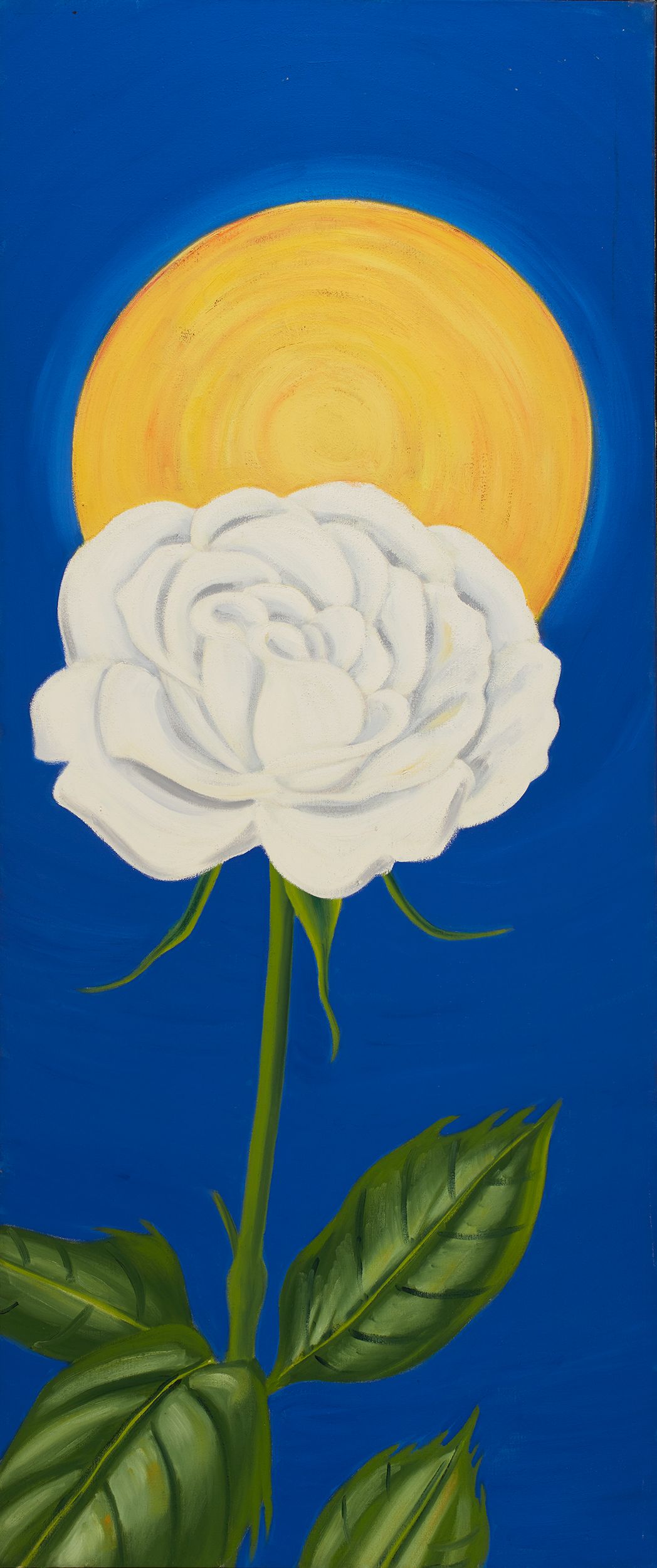   White Rose/Sun . 1989 Oil on linen 66” x 28” 