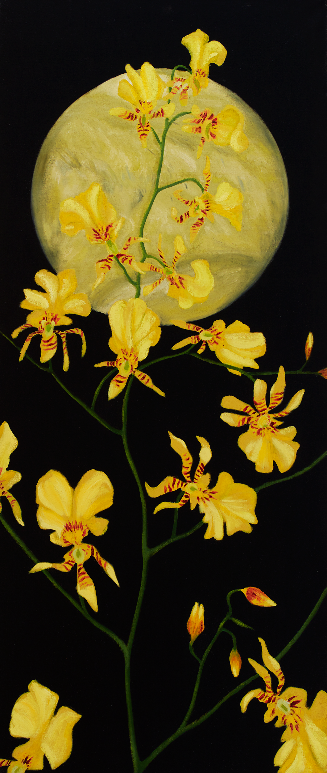   Dancing Lady Orchids/Venus . 1989 Oil on linen 66” x 28” 
