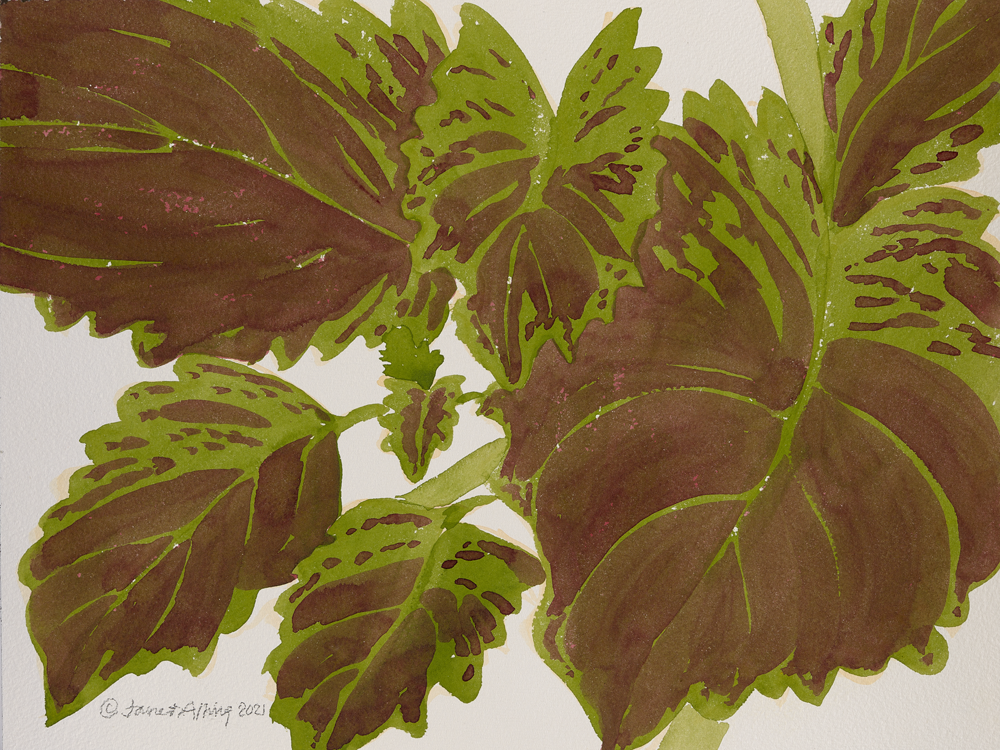   Point of View 1 . 2021 Watercolor 12” x 16” 