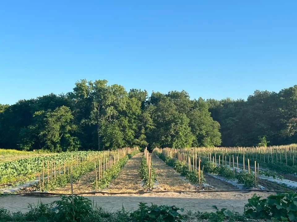 Boston Gleaners farm.