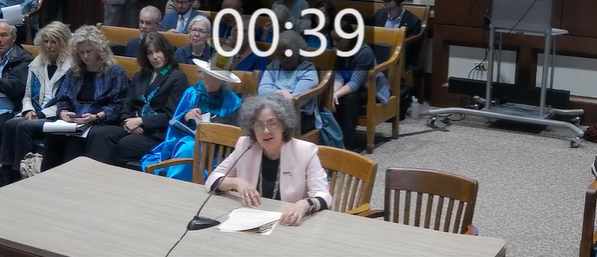 Plastics-hearing-2025.png